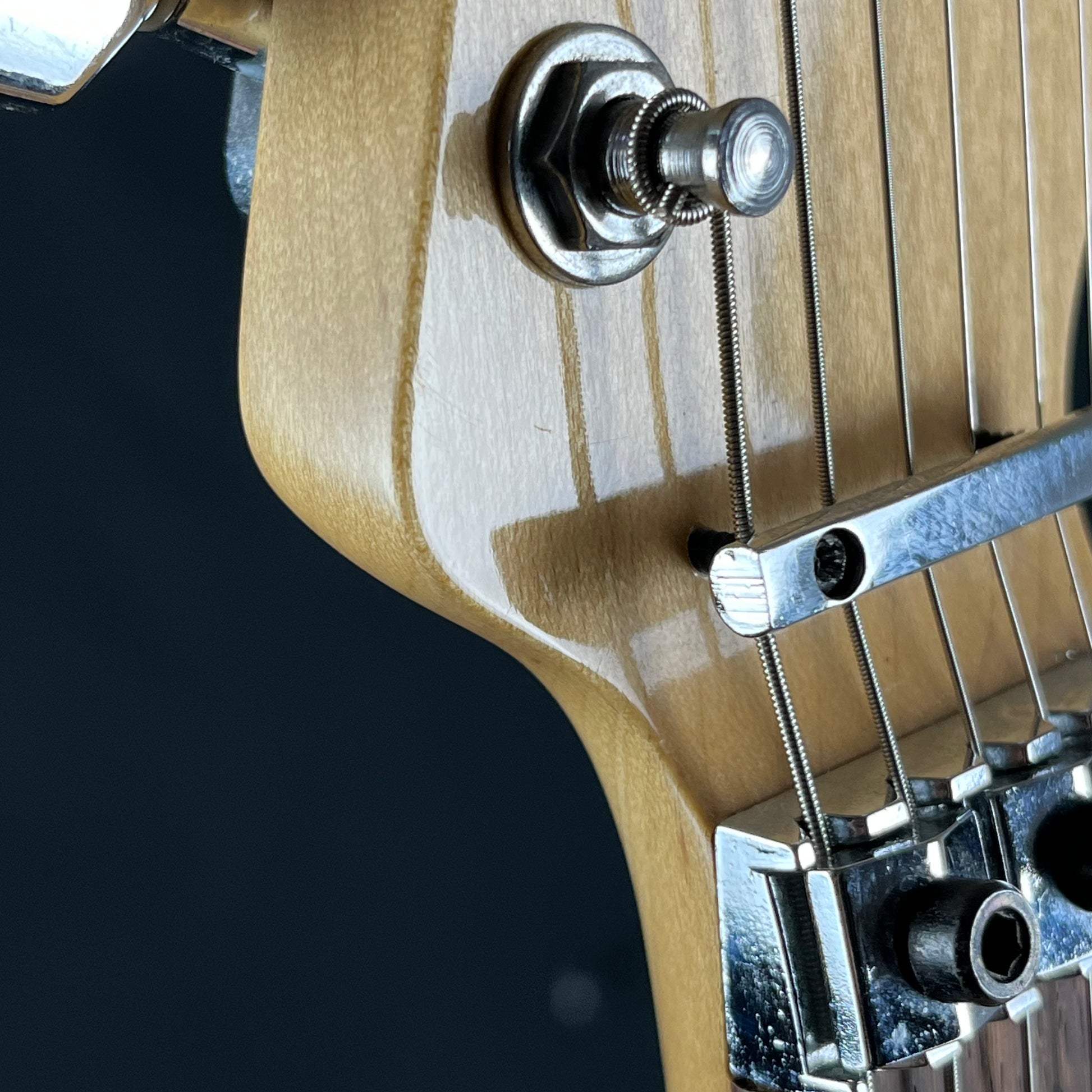 BACCHUS HST-24HSH/FRT ** PU MOD **