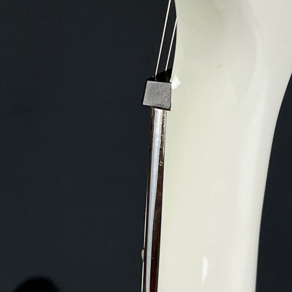 PRS SE DAVE NAVARRO 2012