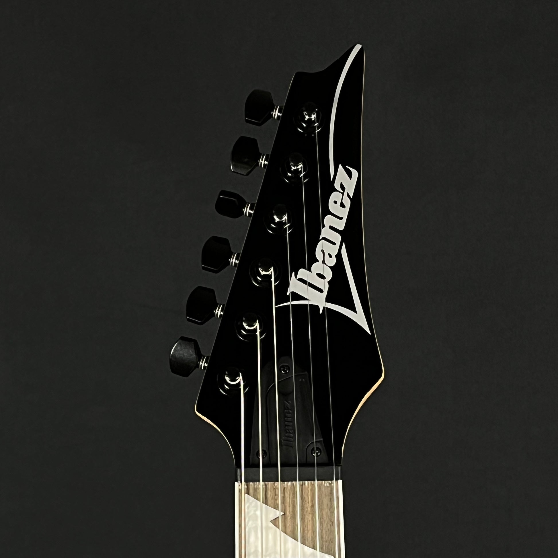 Ibanez RGV250