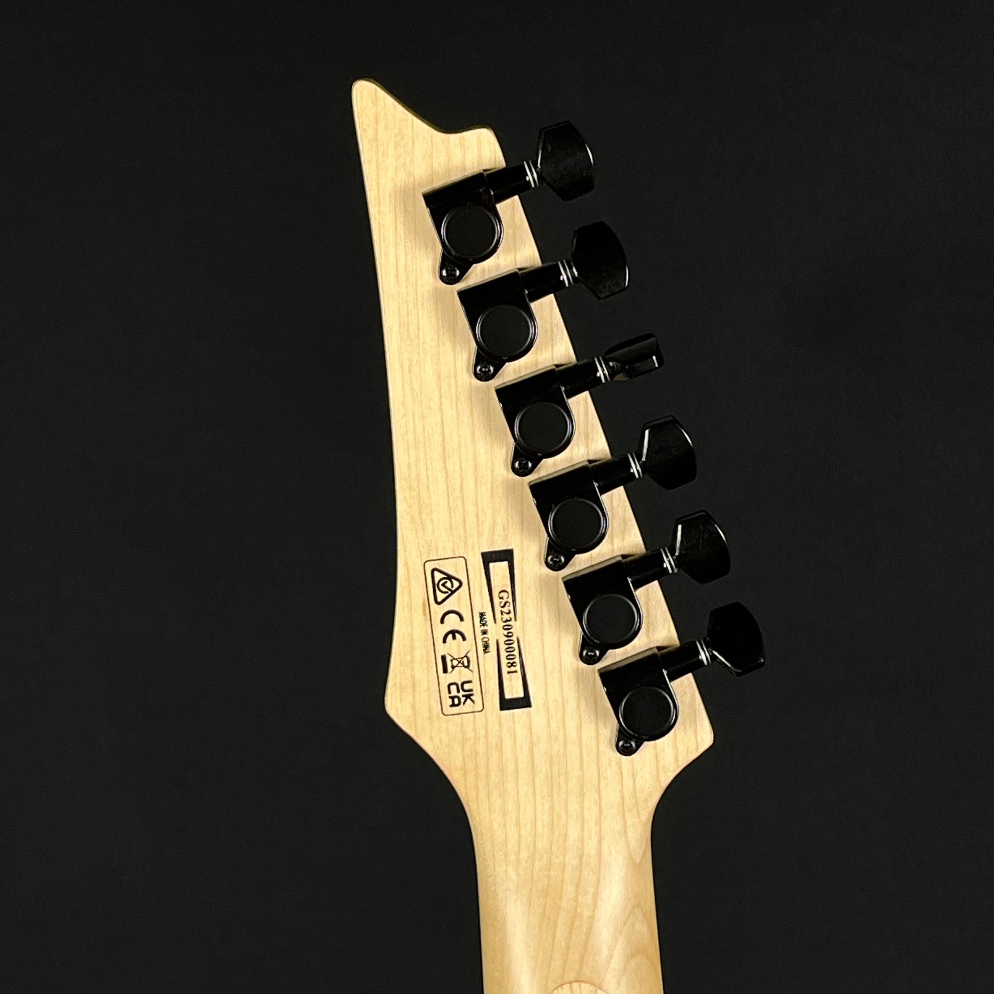 Ibanez RGV250