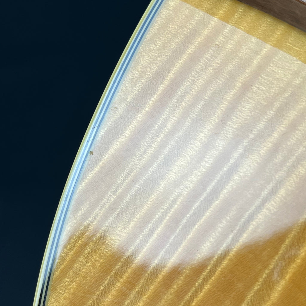 Ibanez AF105-NT