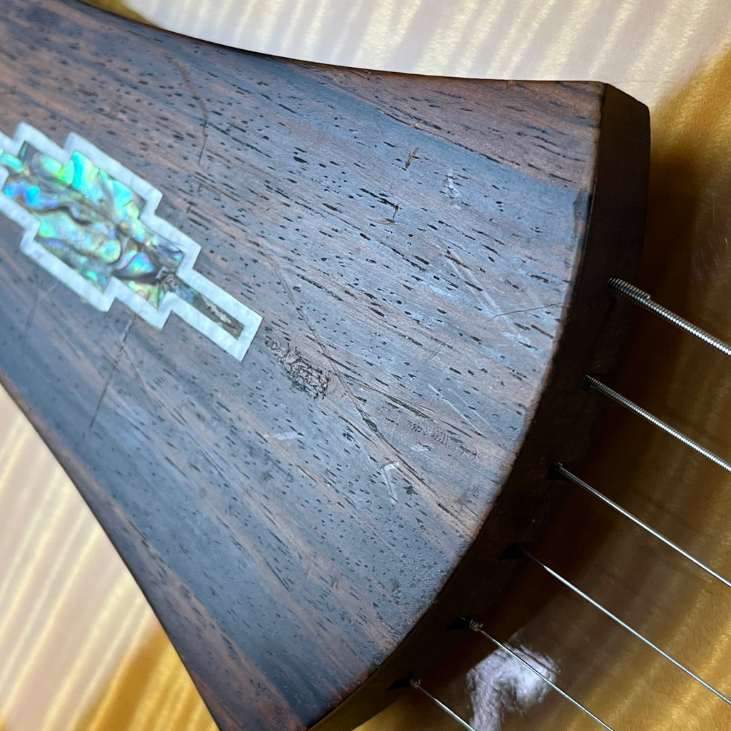 Ibanez AF105-NT