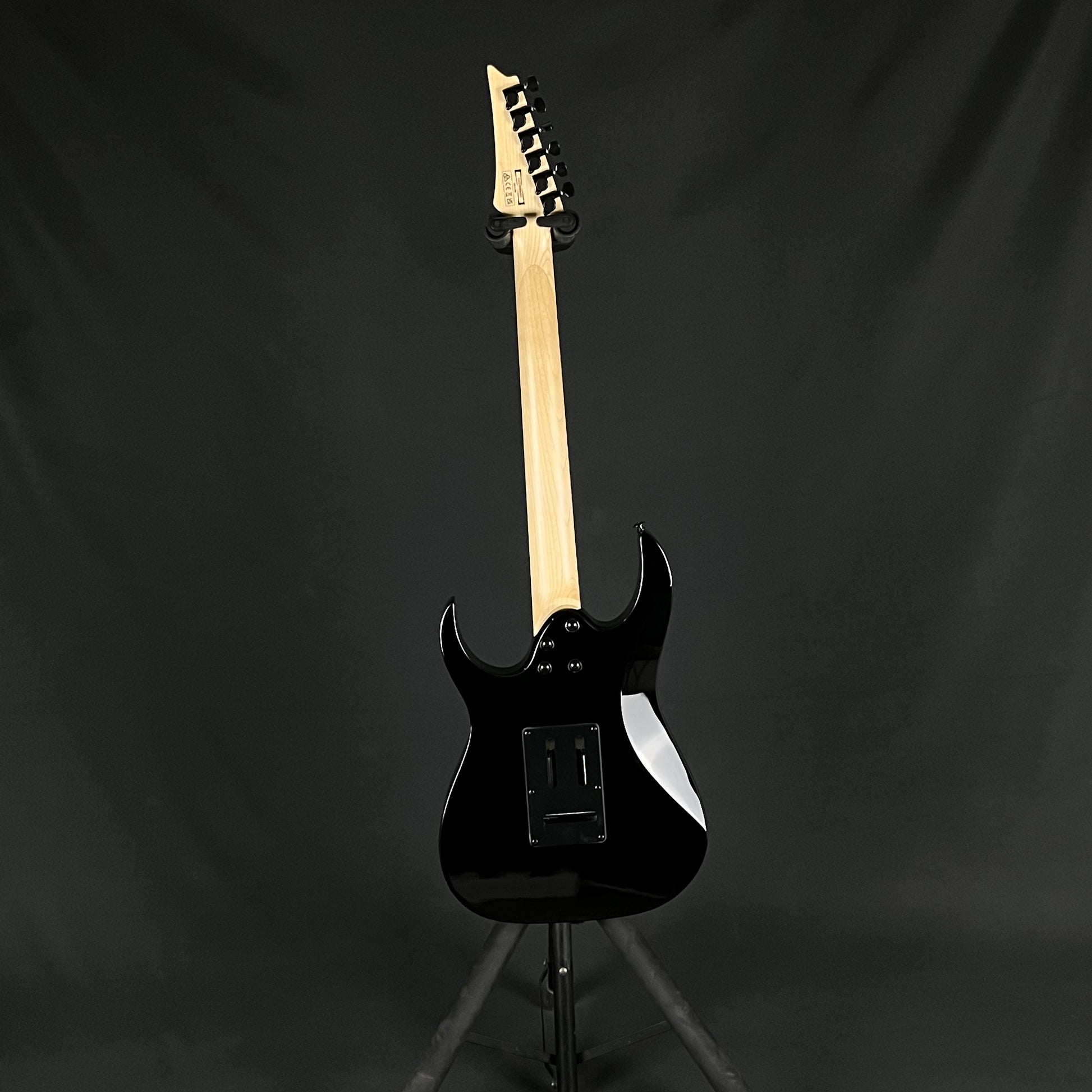 Ibanez RGV250