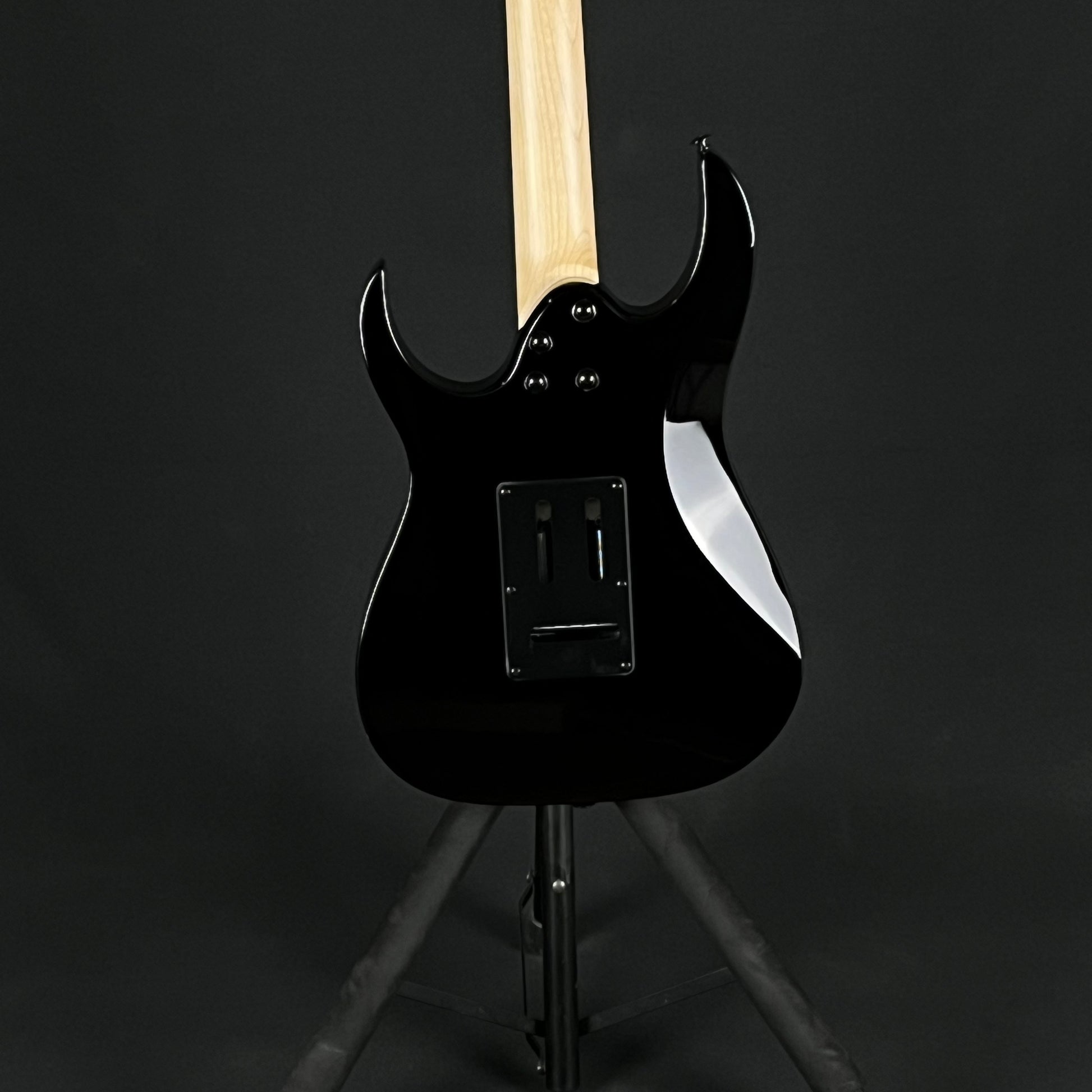 Ibanez RGV250