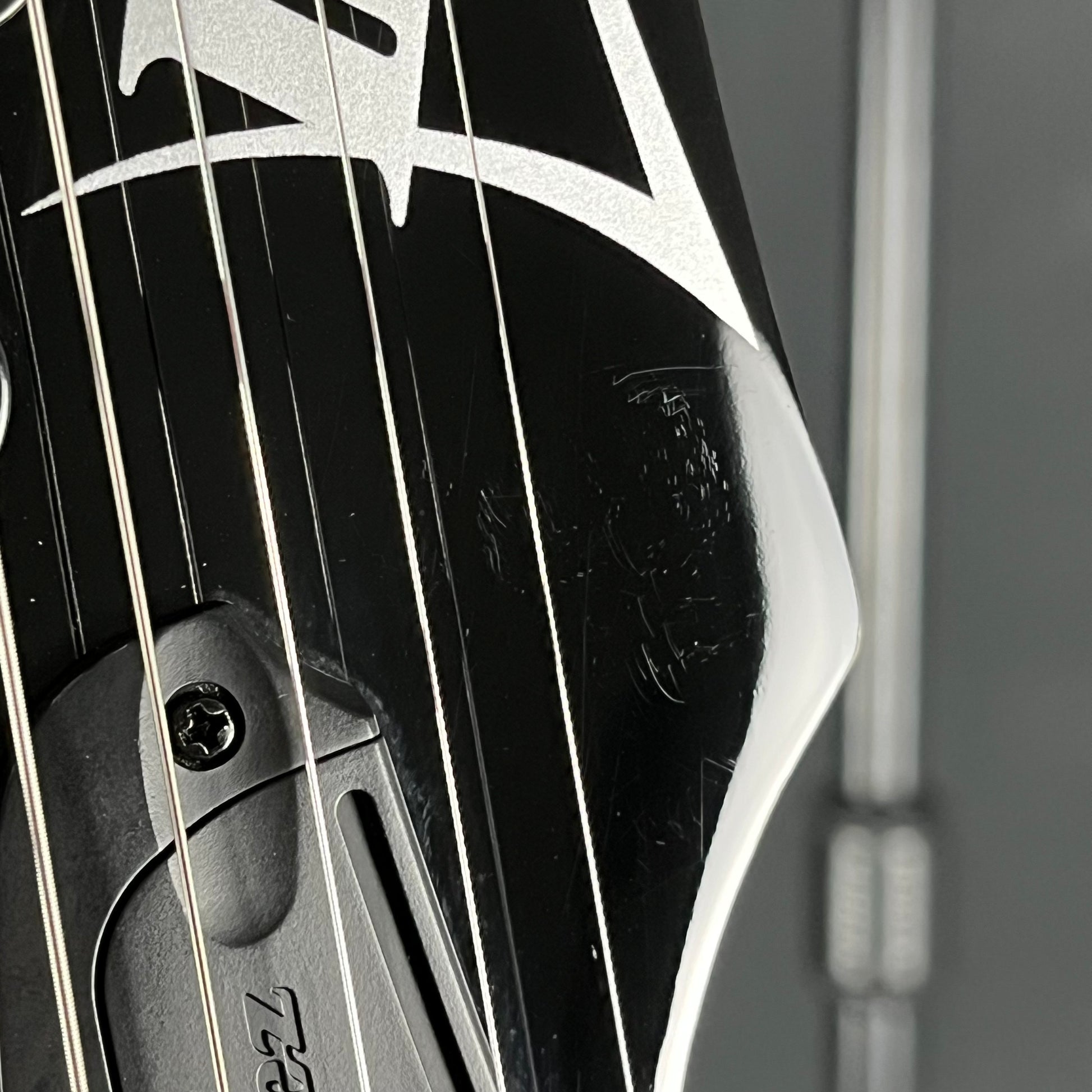 Ibanez RGV250