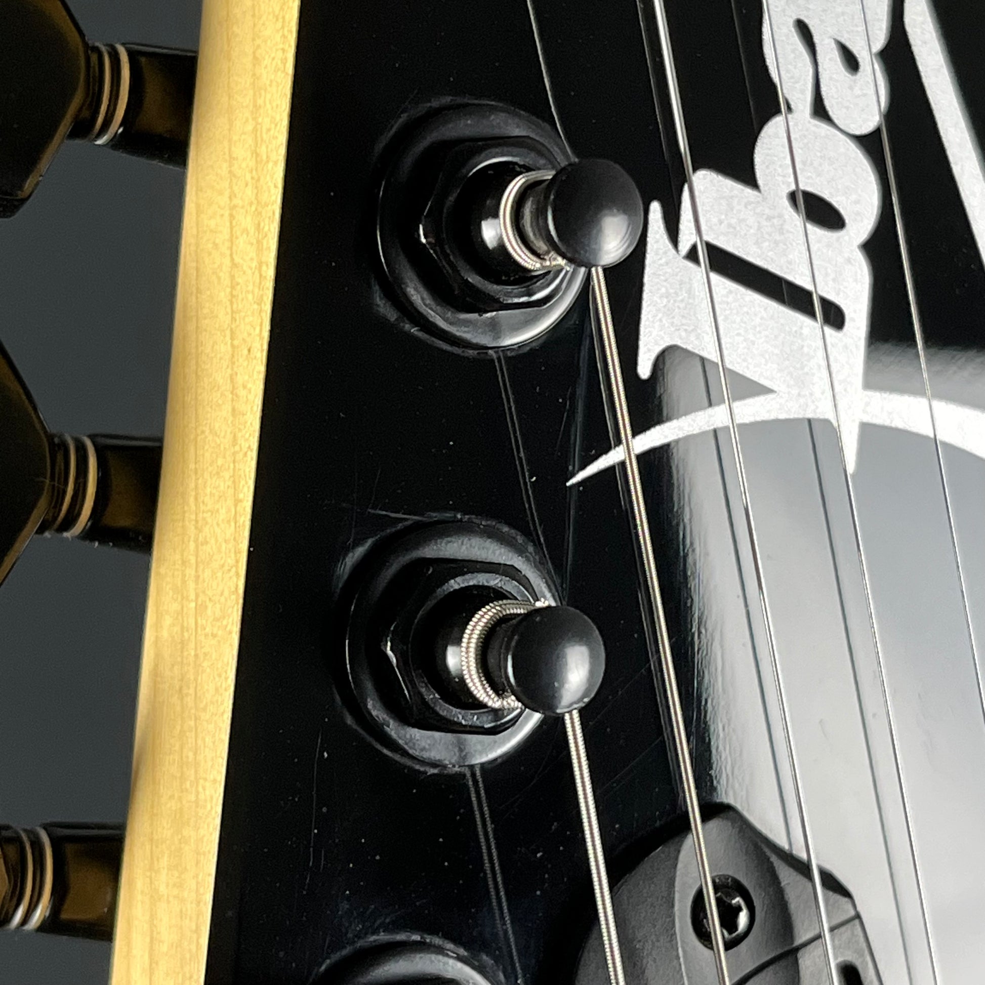 Ibanez RGV250