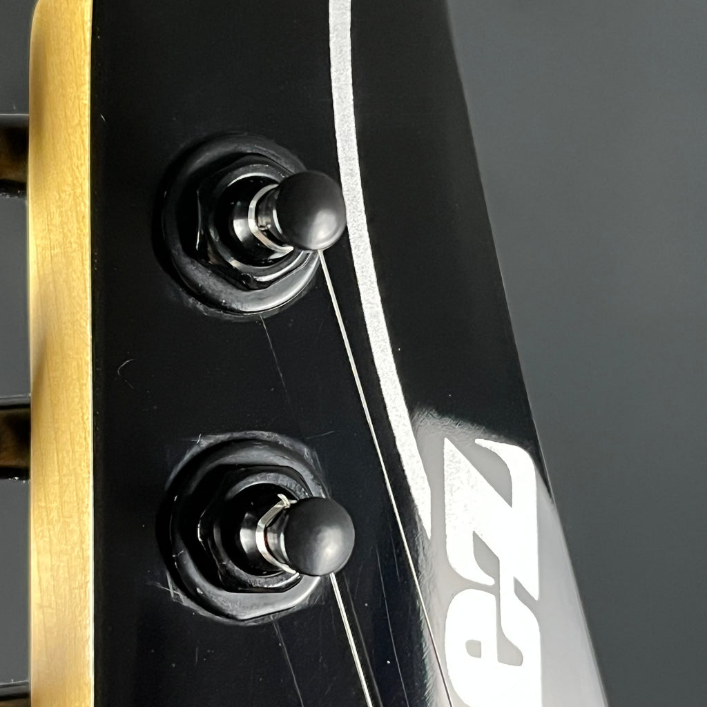 Ibanez RGV250