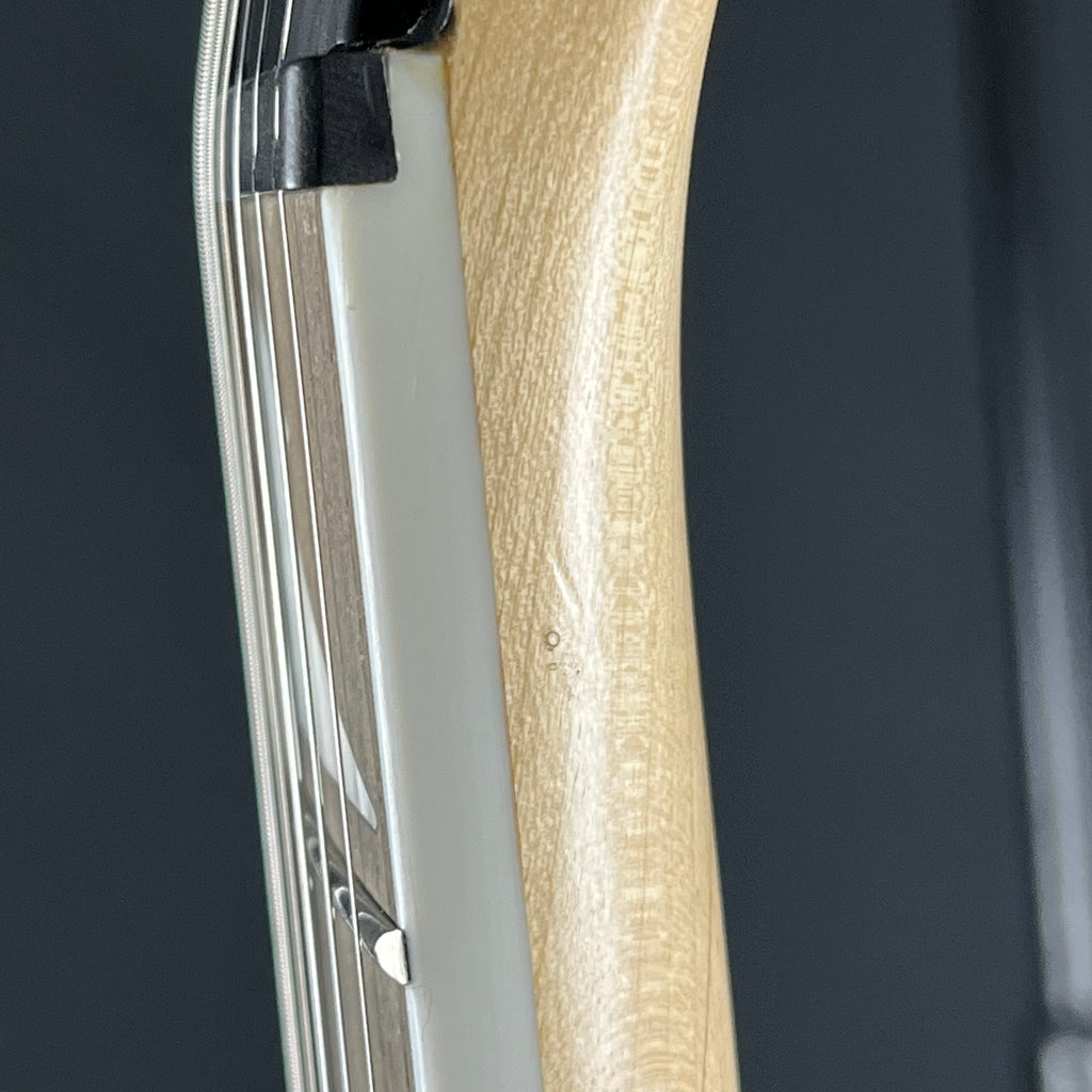 Ibanez RGV250