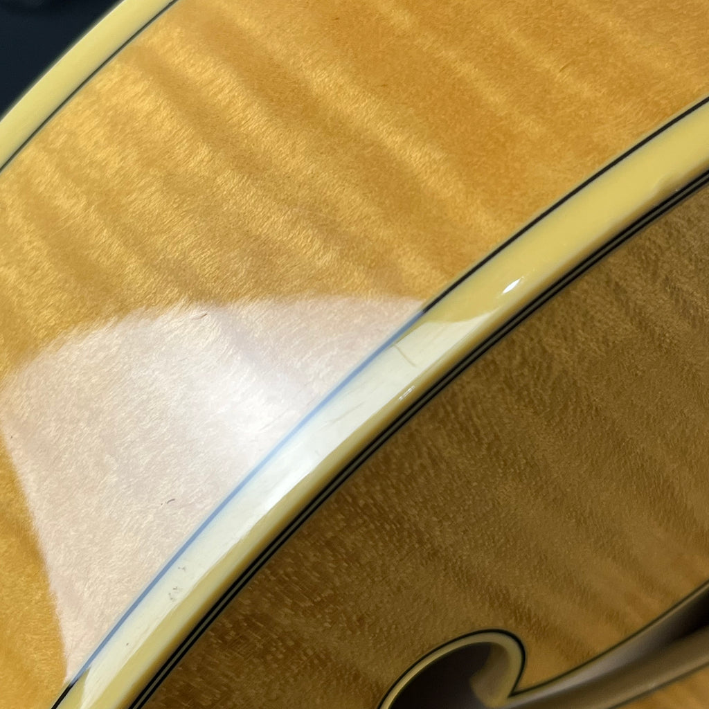 Ibanez AF105-NT