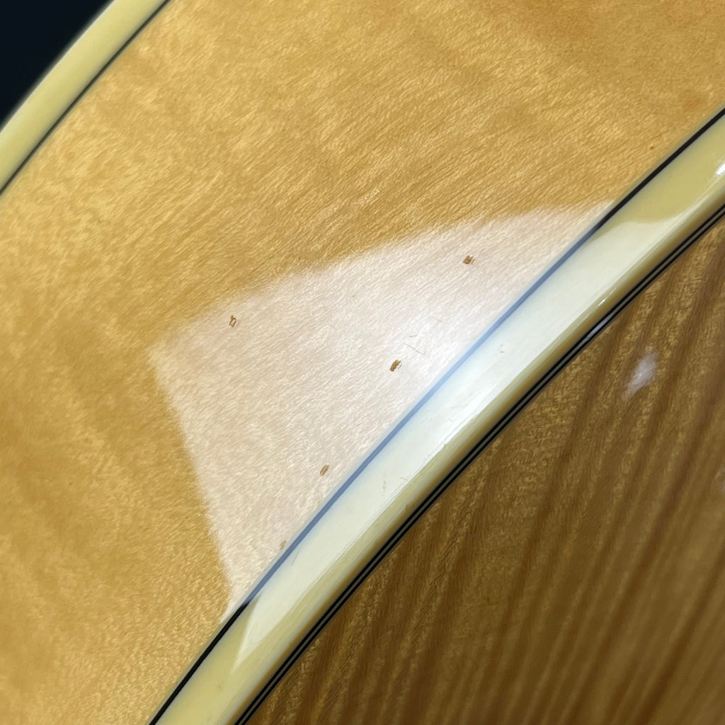 Ibanez AF105-NT