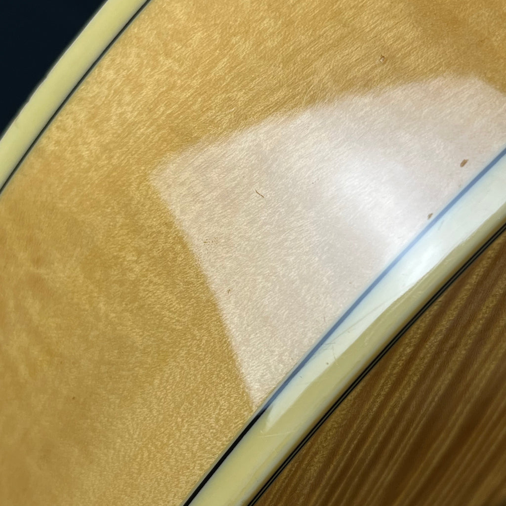 Ibanez AF105-NT