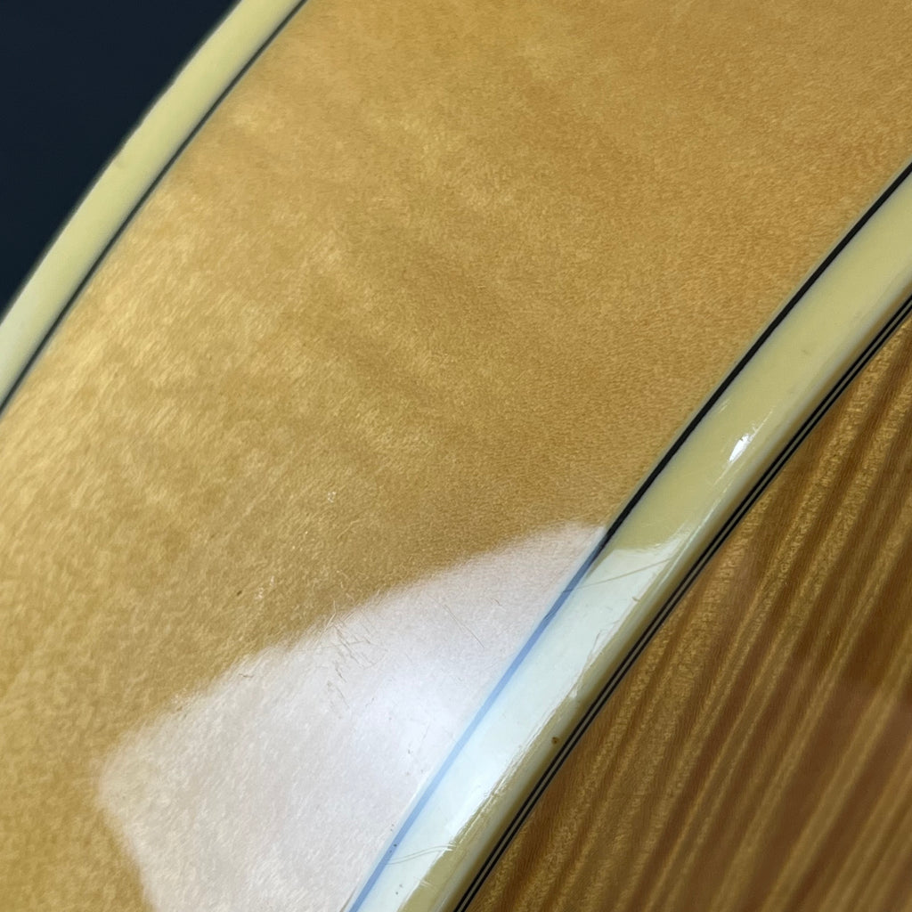 Ibanez AF105-NT