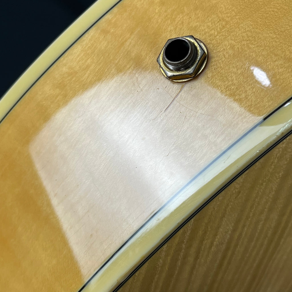 Ibanez AF105-NT
