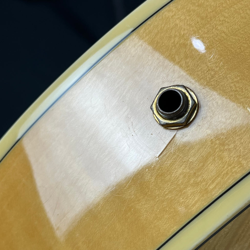 Ibanez AF105-NT