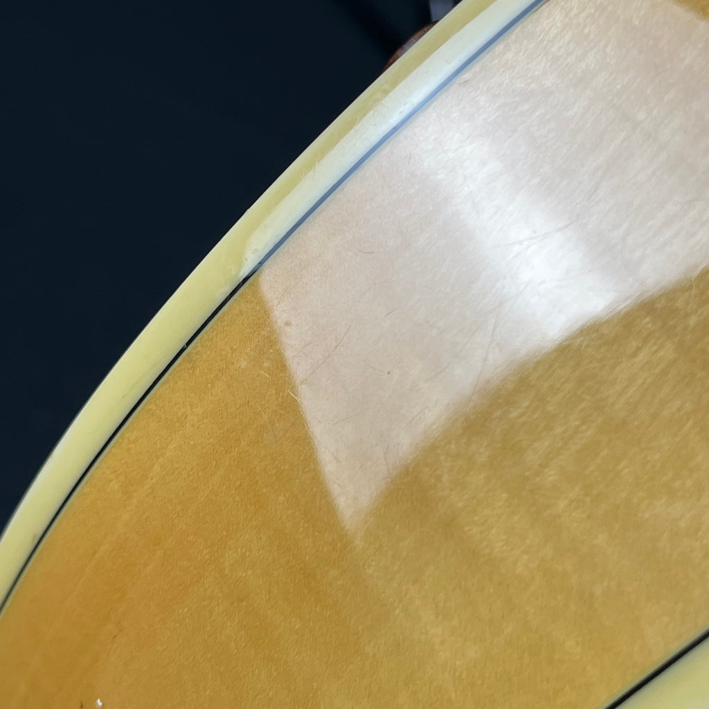 Ibanez AF105-NT