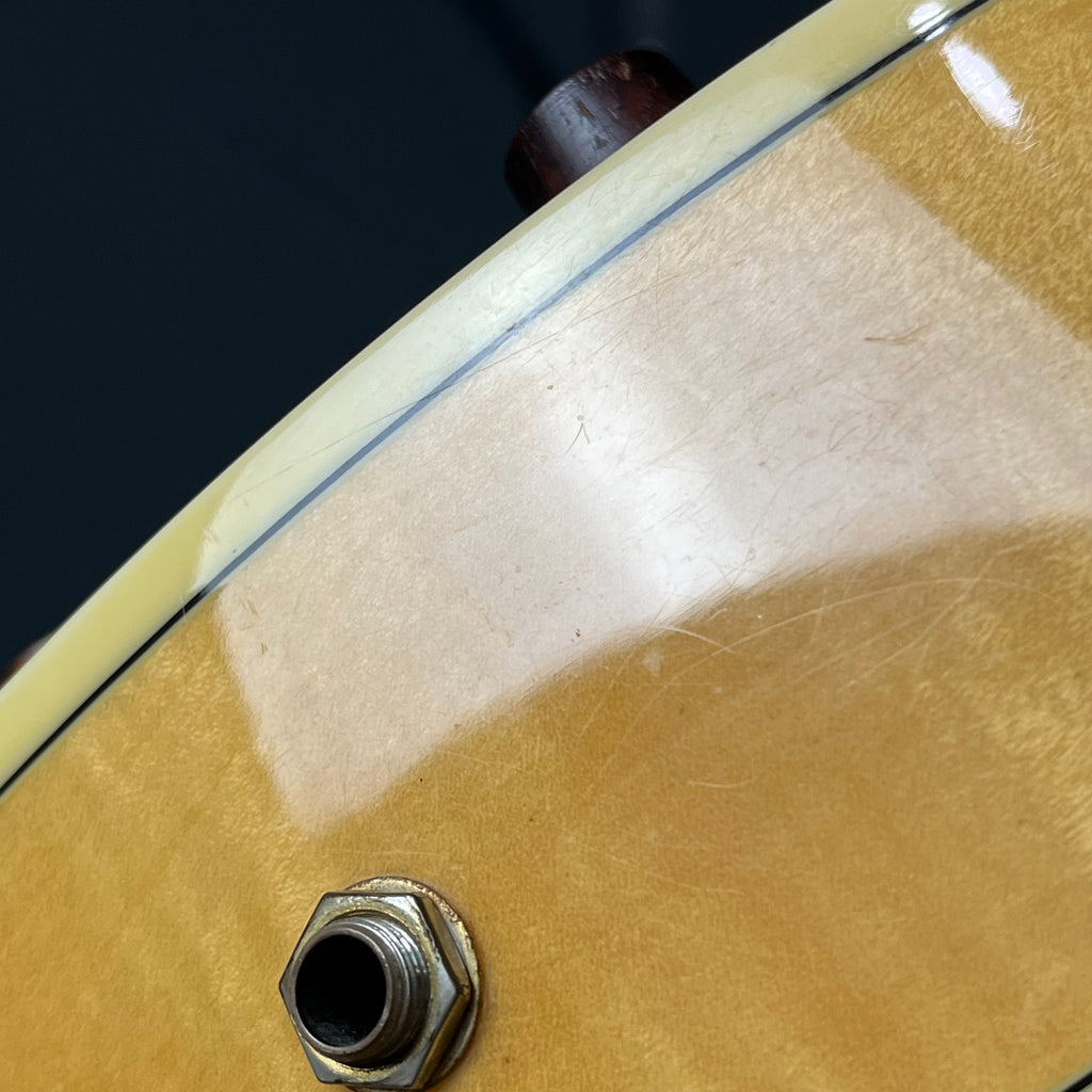 Ibanez AF105-NT