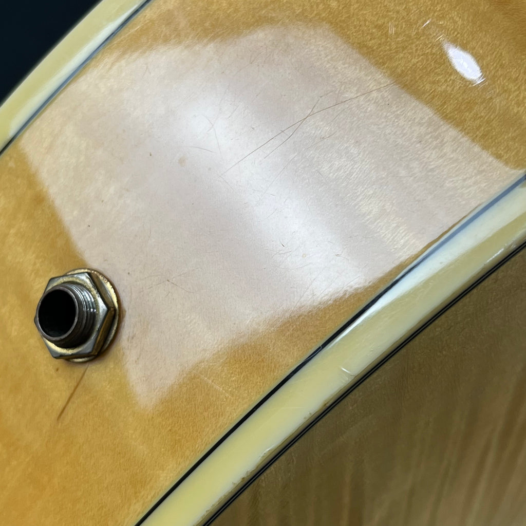Ibanez AF105-NT