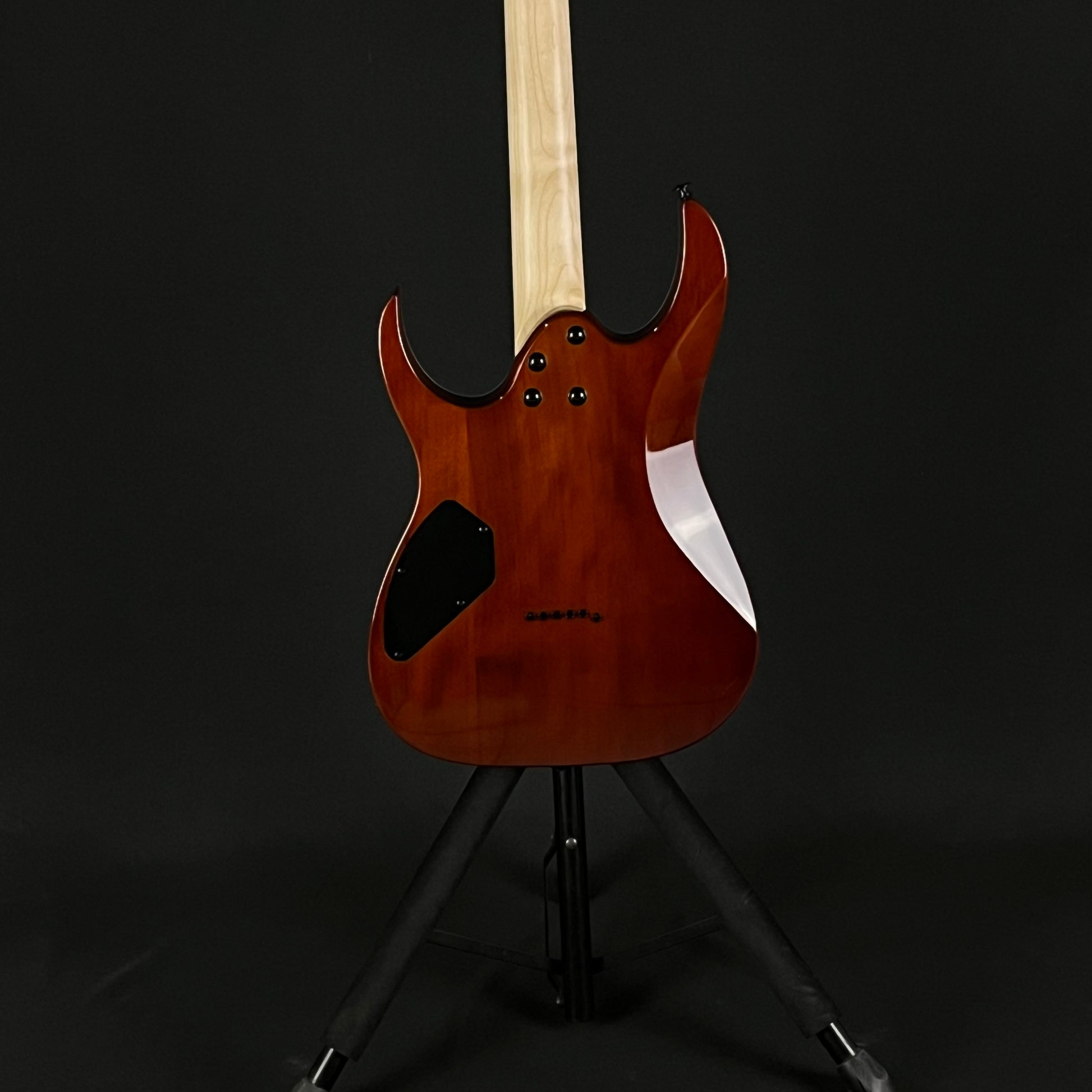 Ibanez GRGR221PA