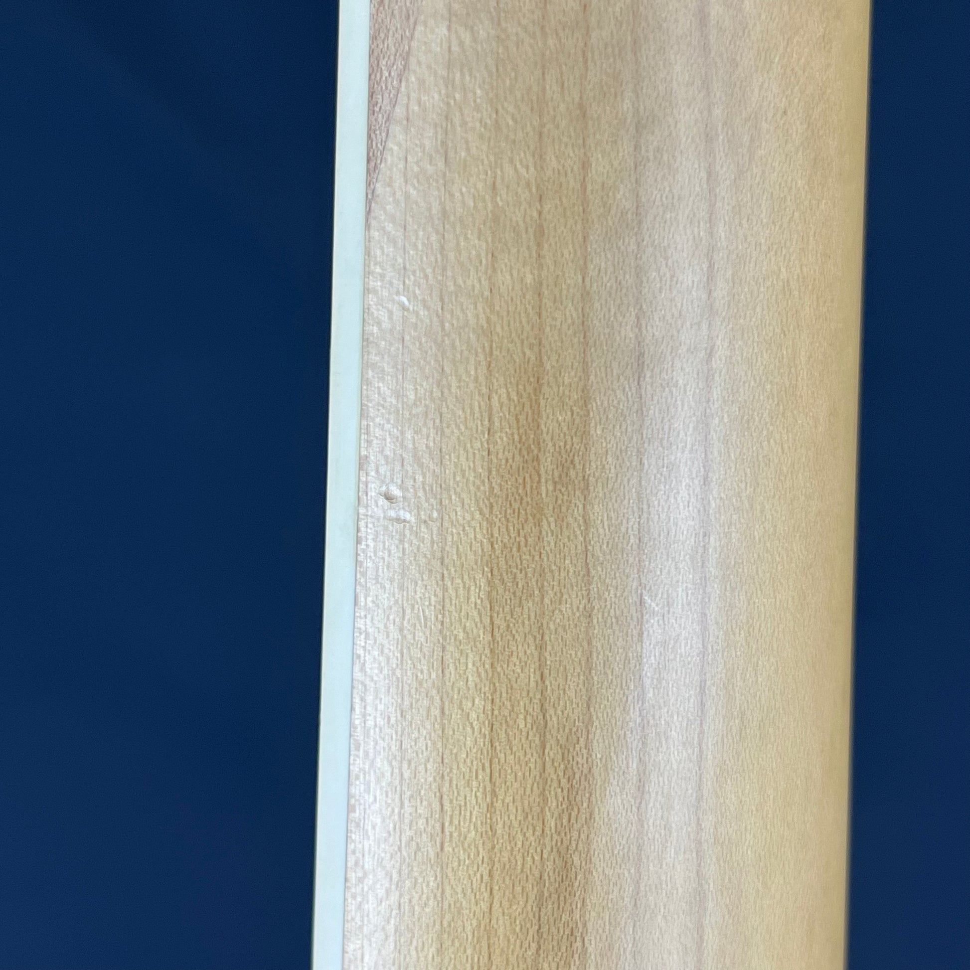 Schecter Omen Extreme-5