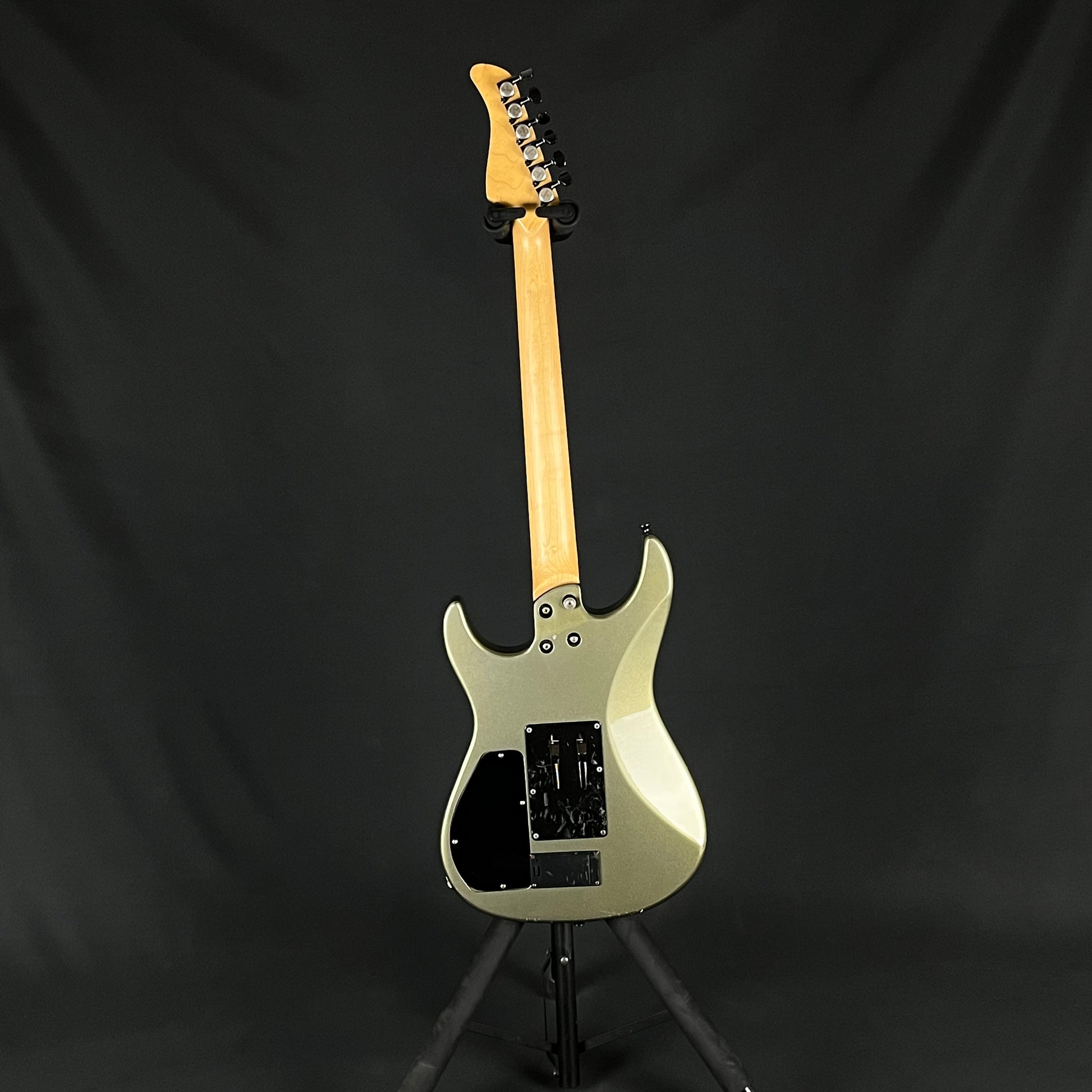 Fernandes FR-65S Sustainer * PU Mod *