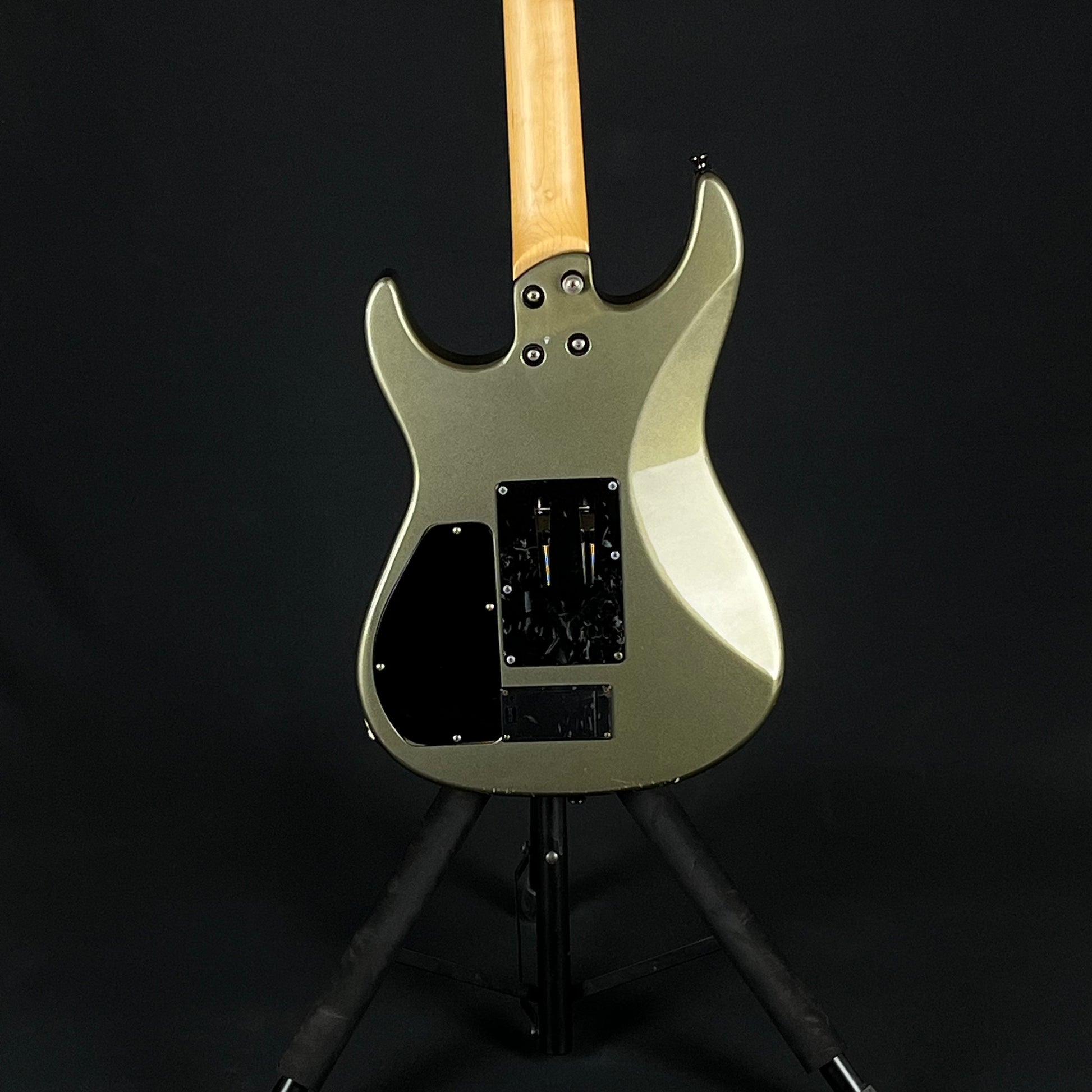 Fernandes FR-65S Sustainer * PU Mod *