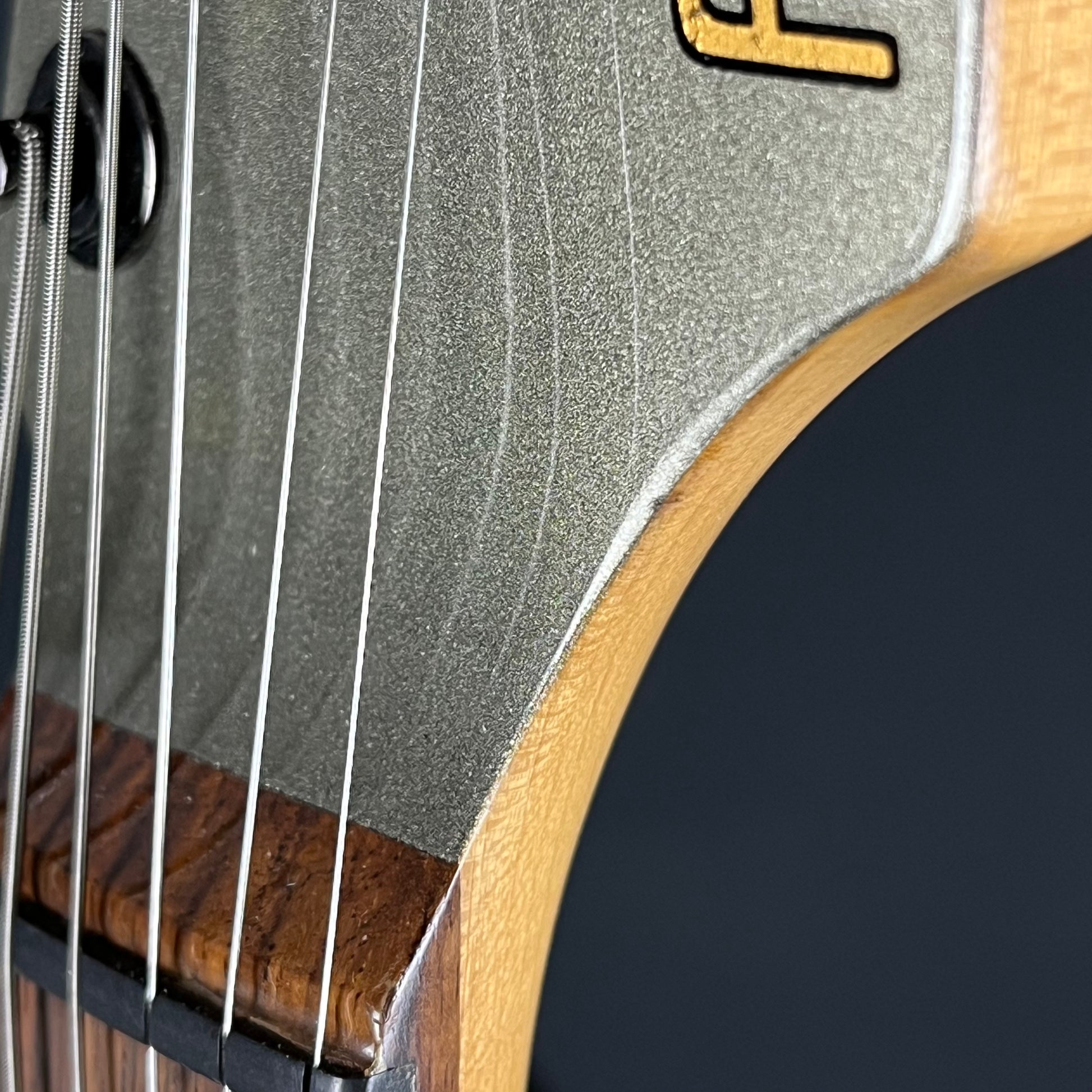 Fernandes FR-65S Sustainer * PU Mod *
