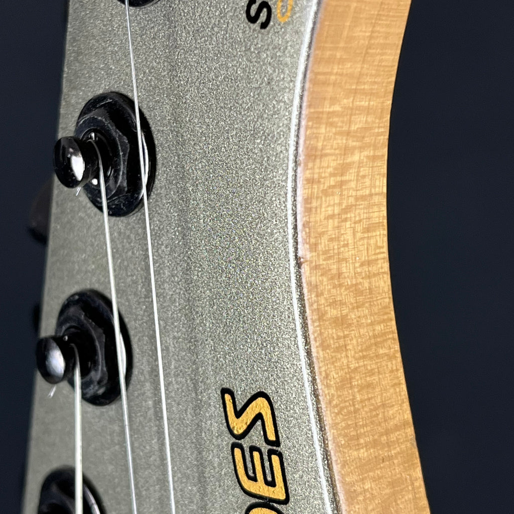 Fernandes FR-65S Sustainer * PU Mod *