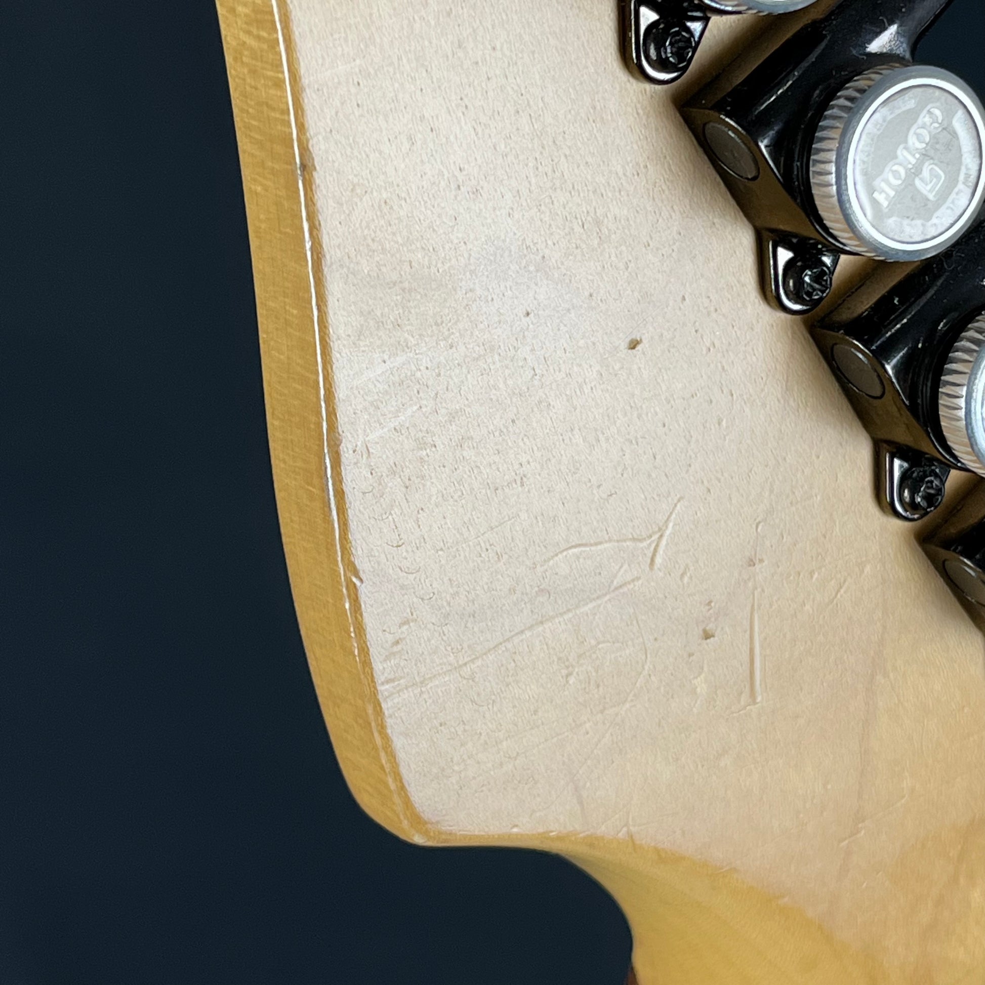 Fernandes FR-65S Sustainer * PU Mod *
