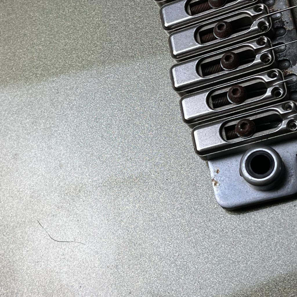 Fernandes FR-65S Sustainer * PU Mod *
