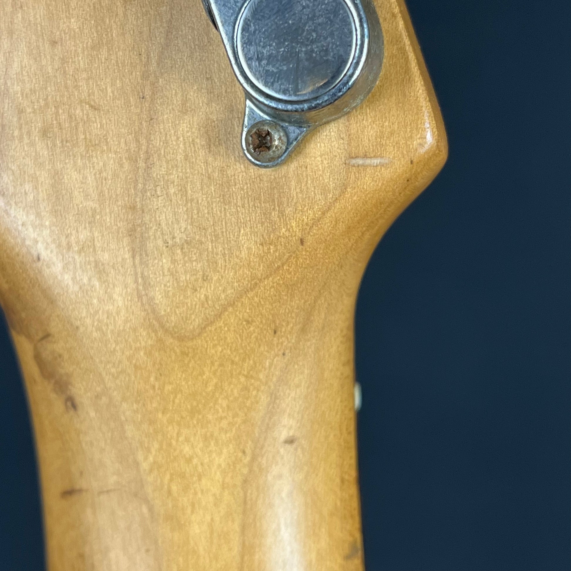 Fernandes SFR-50 *Mod*
