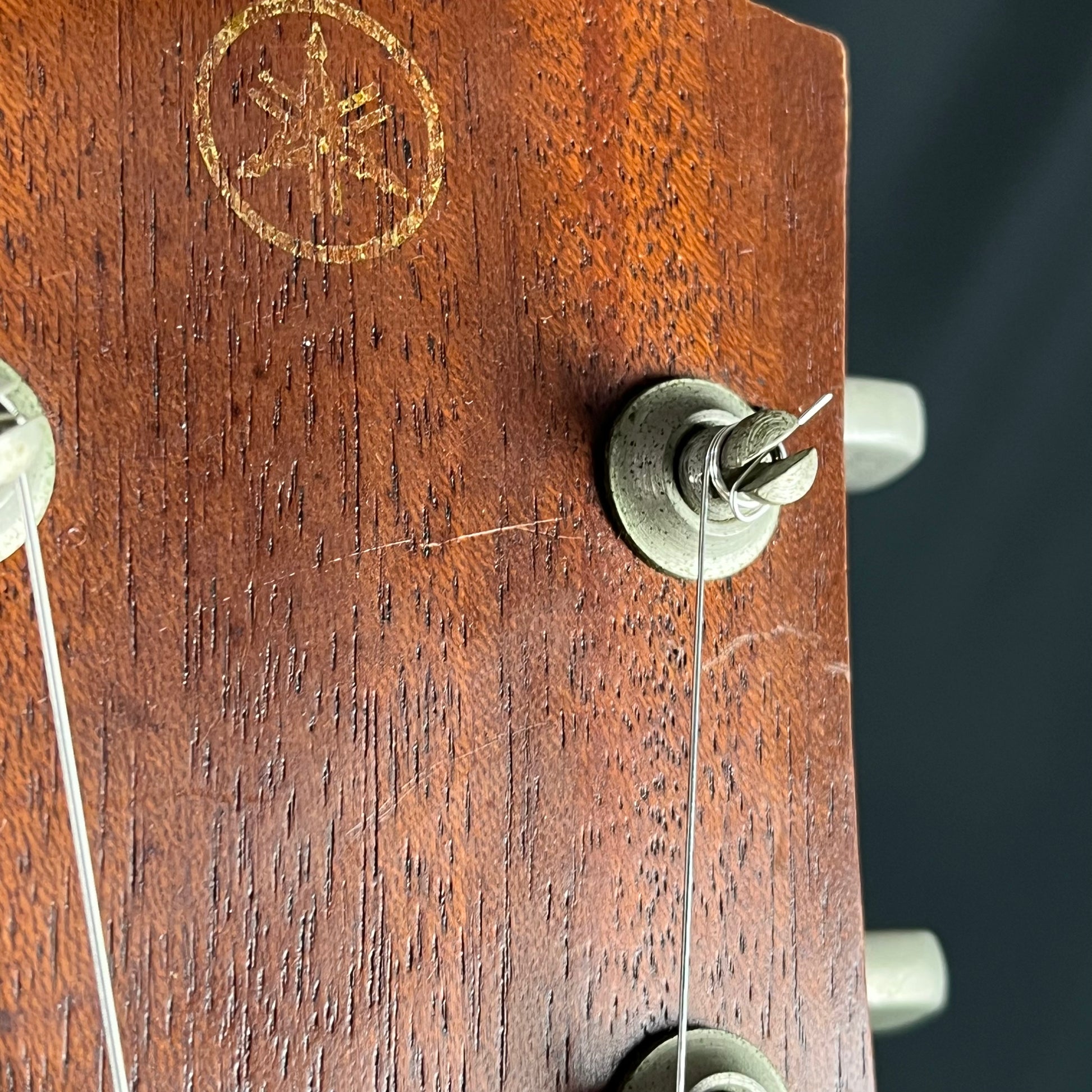 YAMAHA Japan SG-30