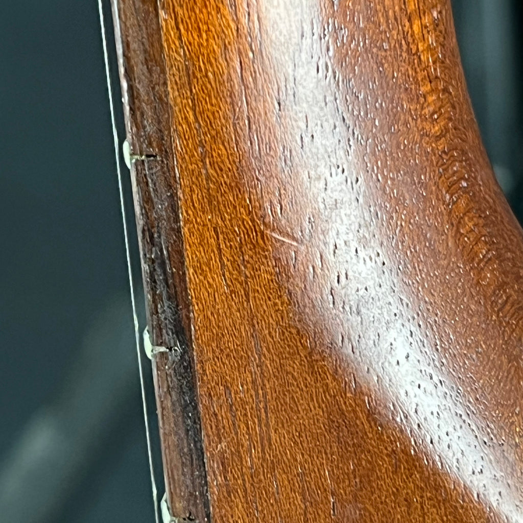 YAMAHA Japan SG-30