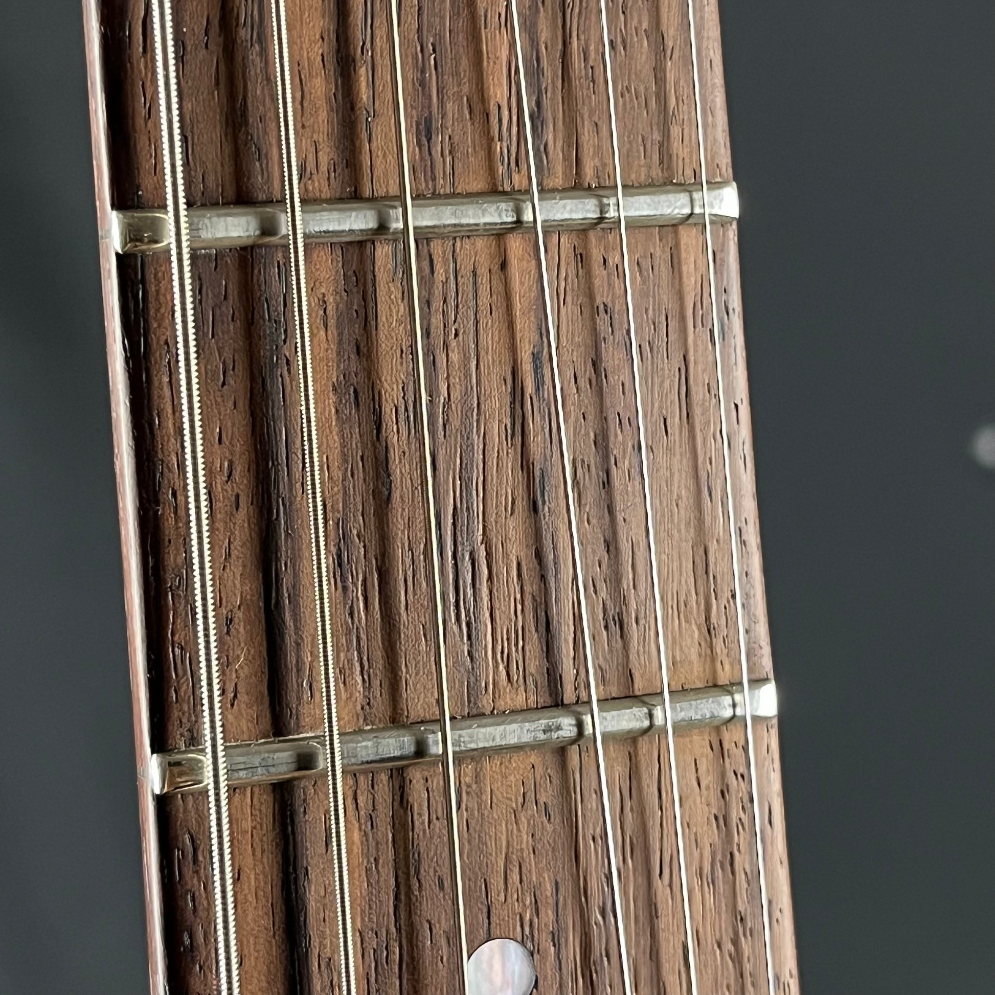 Fernandes FR-65S Sustainer * PU Mod *