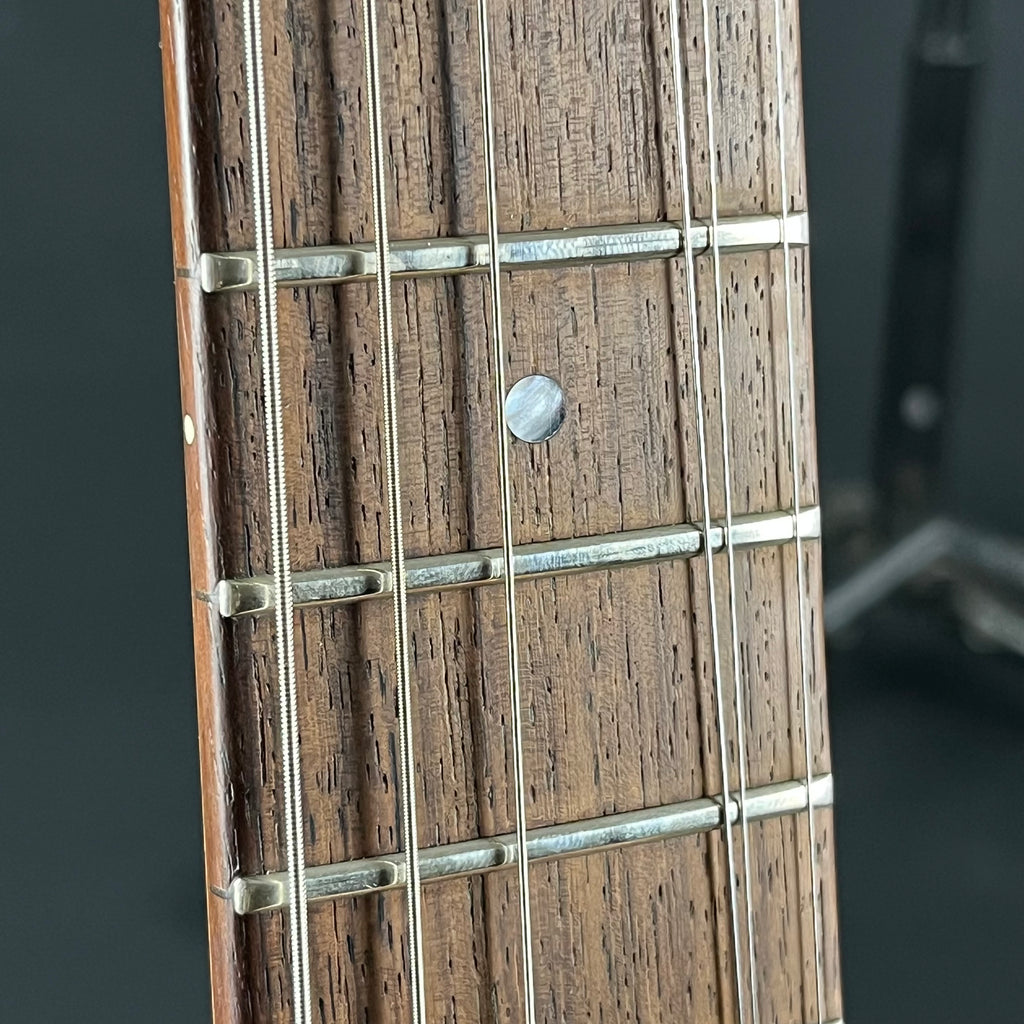 Fernandes FR-65S Sustainer * PU Mod *