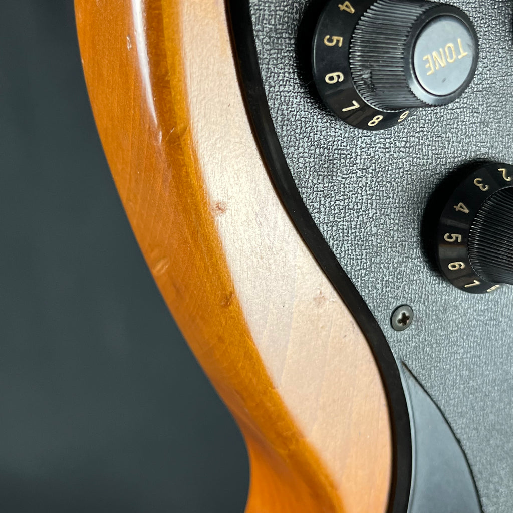 YAMAHA Japan SG-30