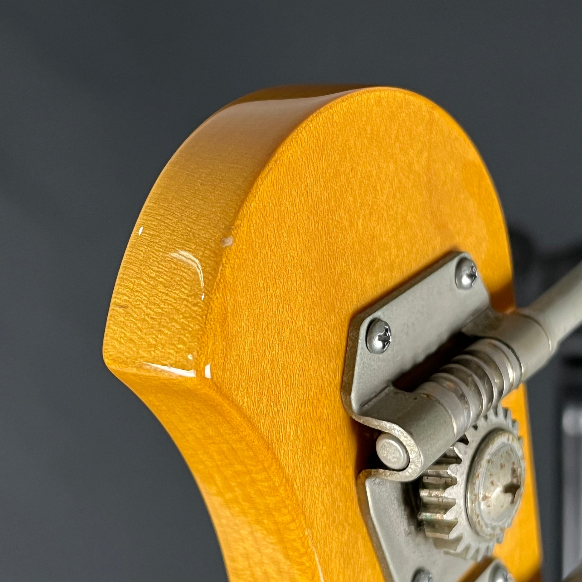 Bacchus BJB5-550 Jazz Bass