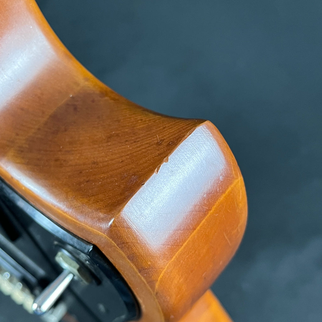 YAMAHA Japan SG-30