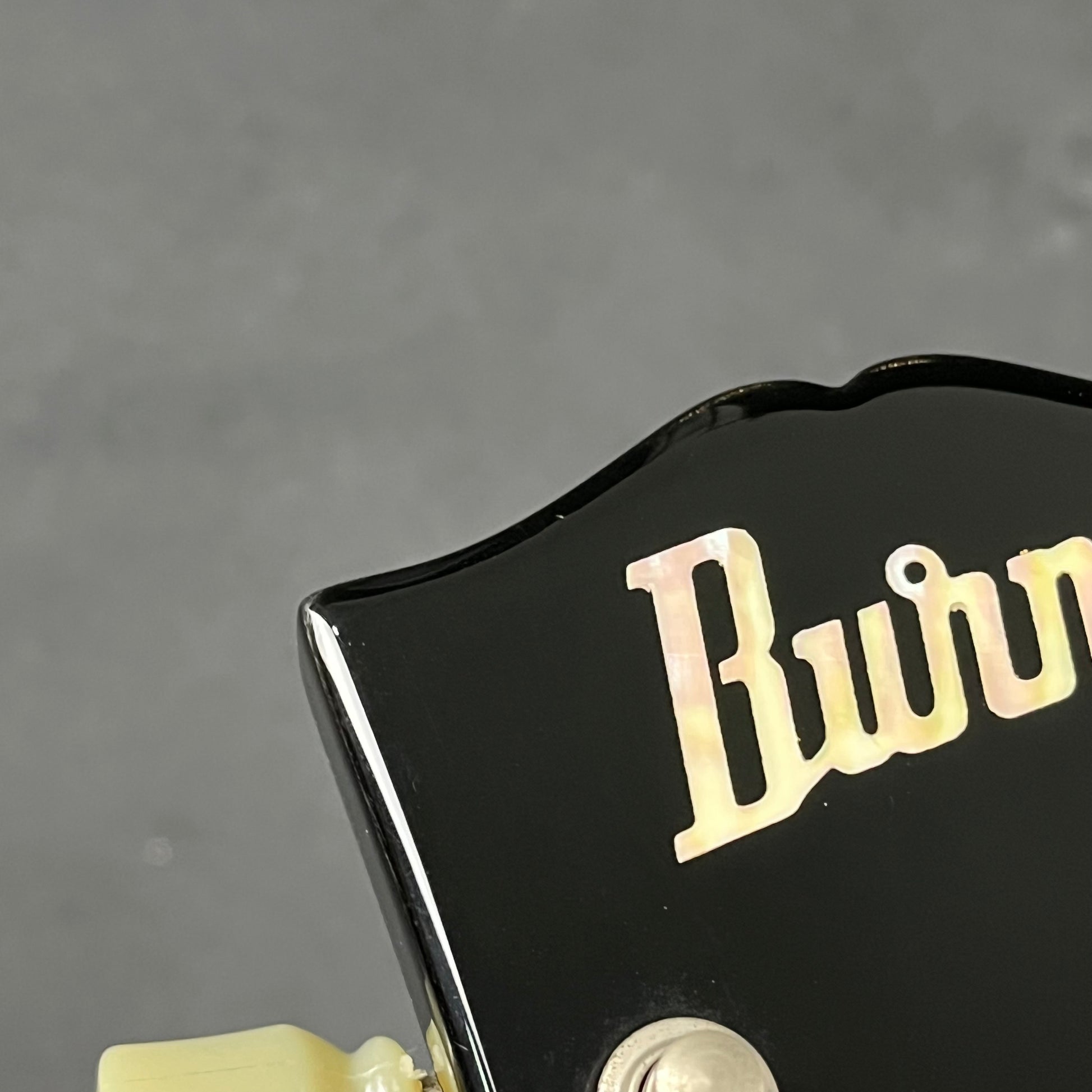 BURNY RSA-55