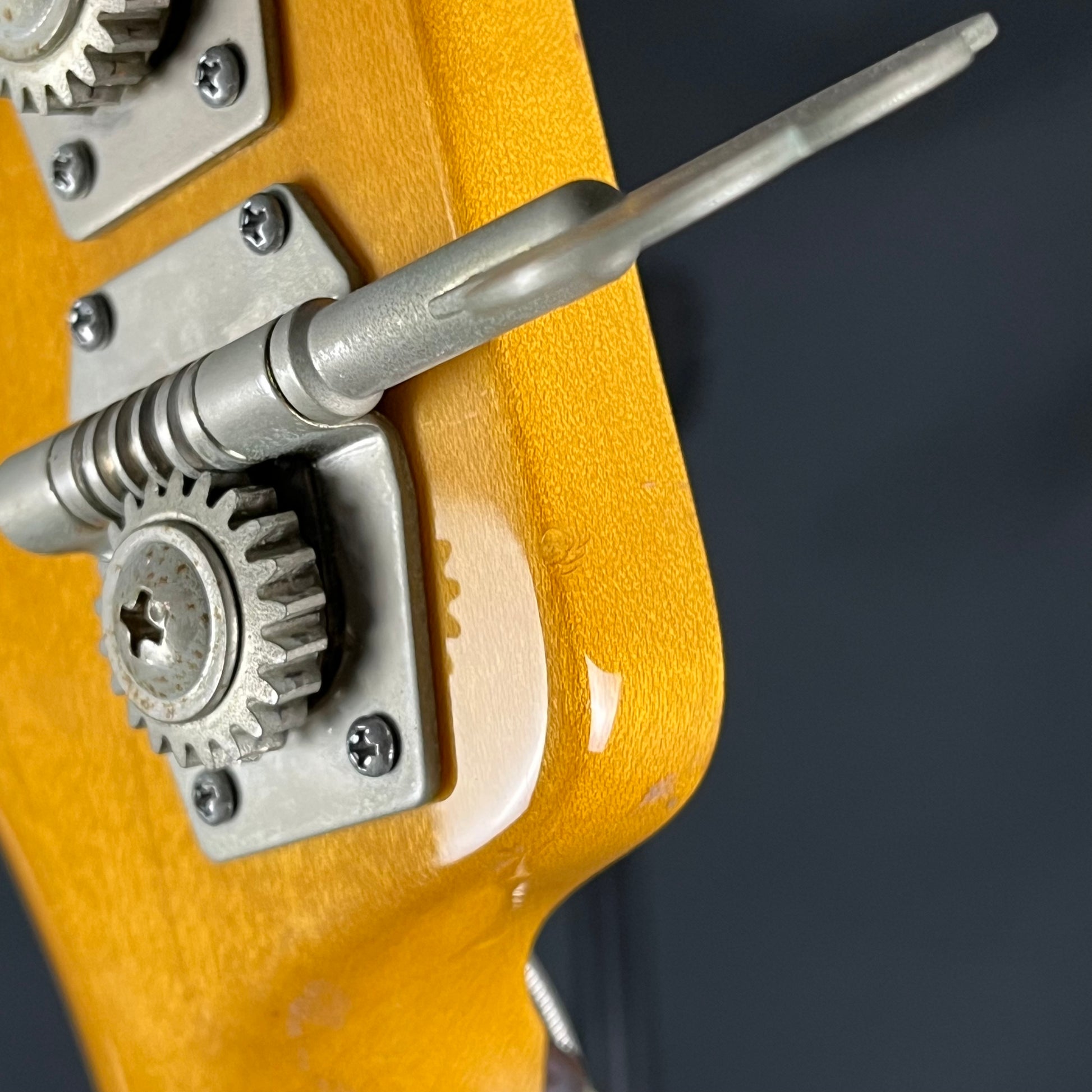 Bacchus BJB5-550 Jazz Bass