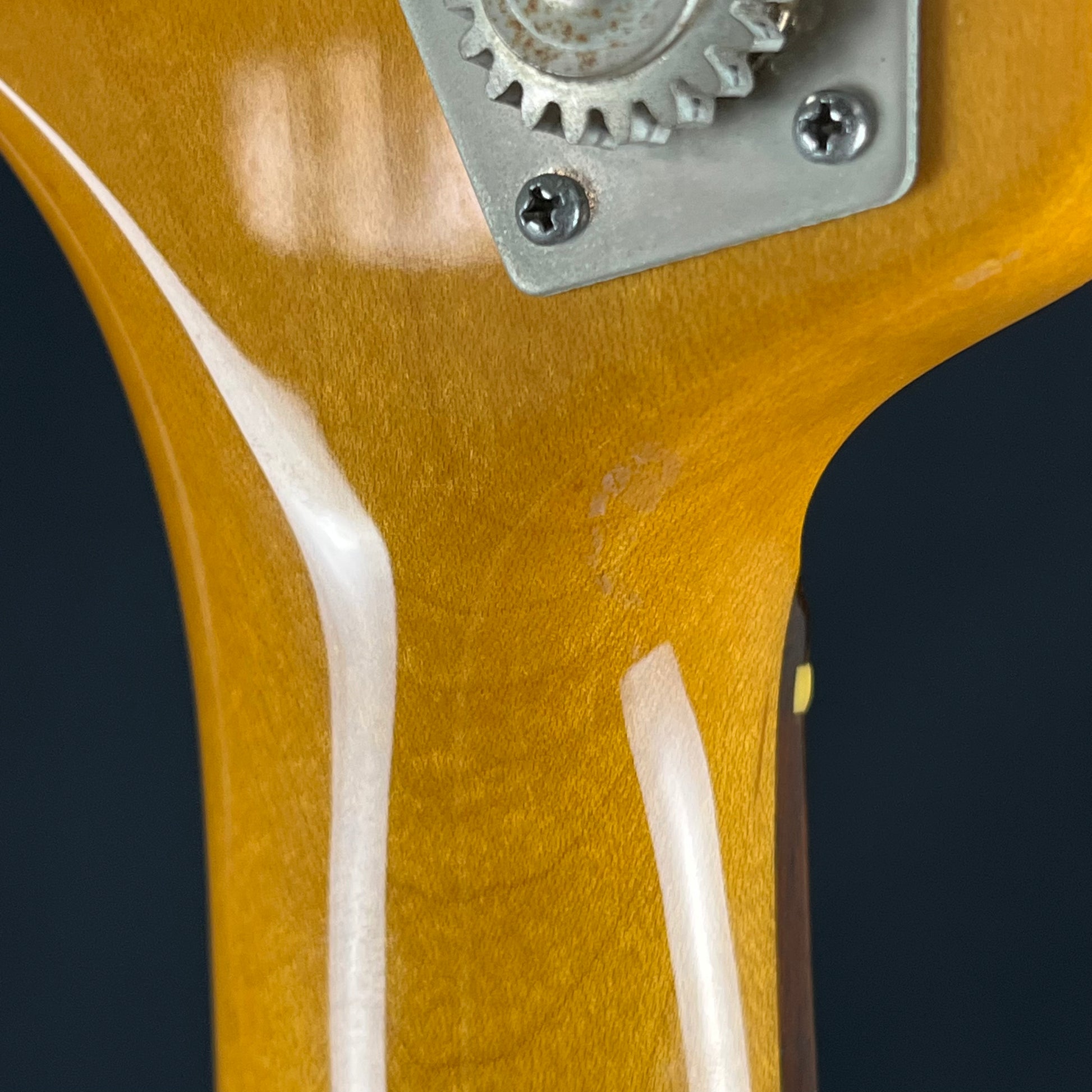 Bacchus BJB5-550 Jazz Bass