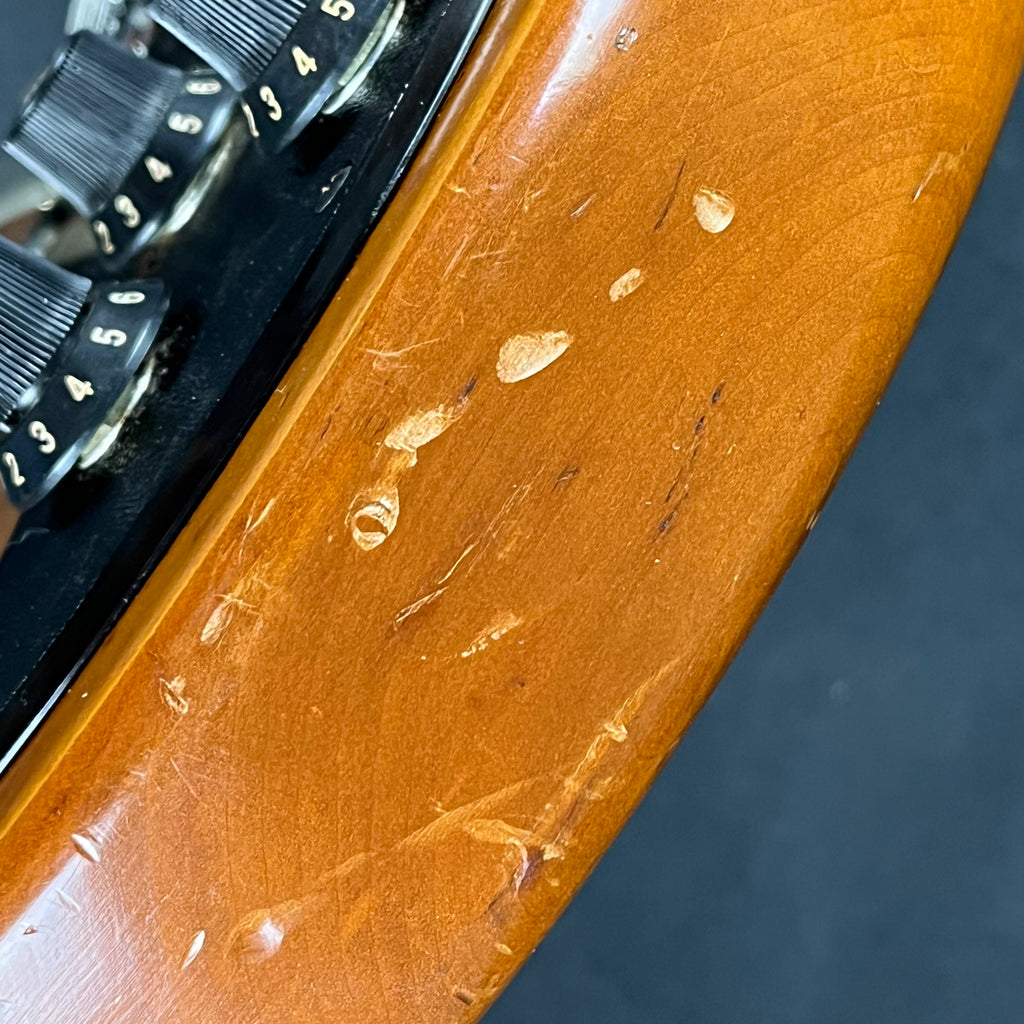YAMAHA Japan SG-30