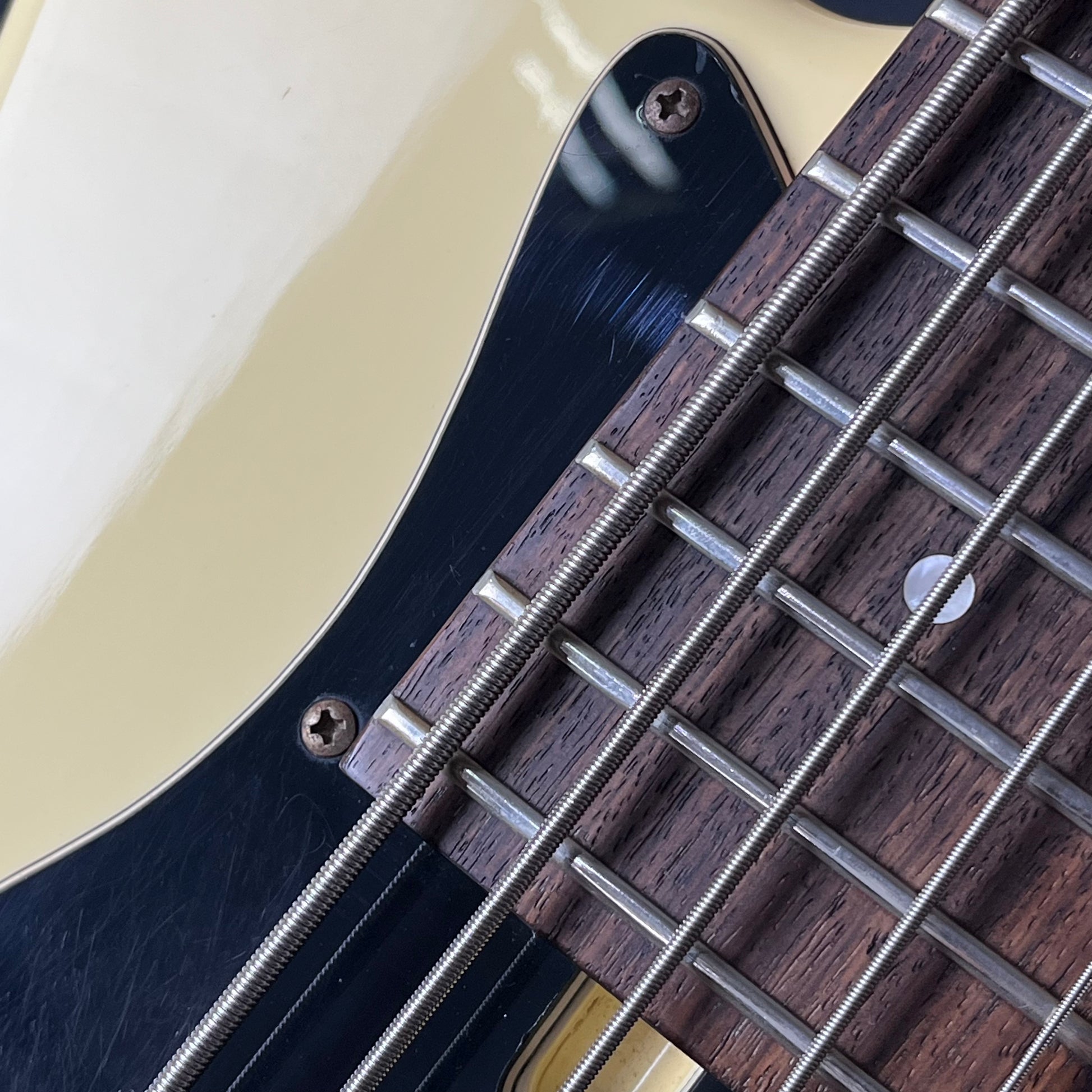 Bacchus BJB5-550 Jazz Bass