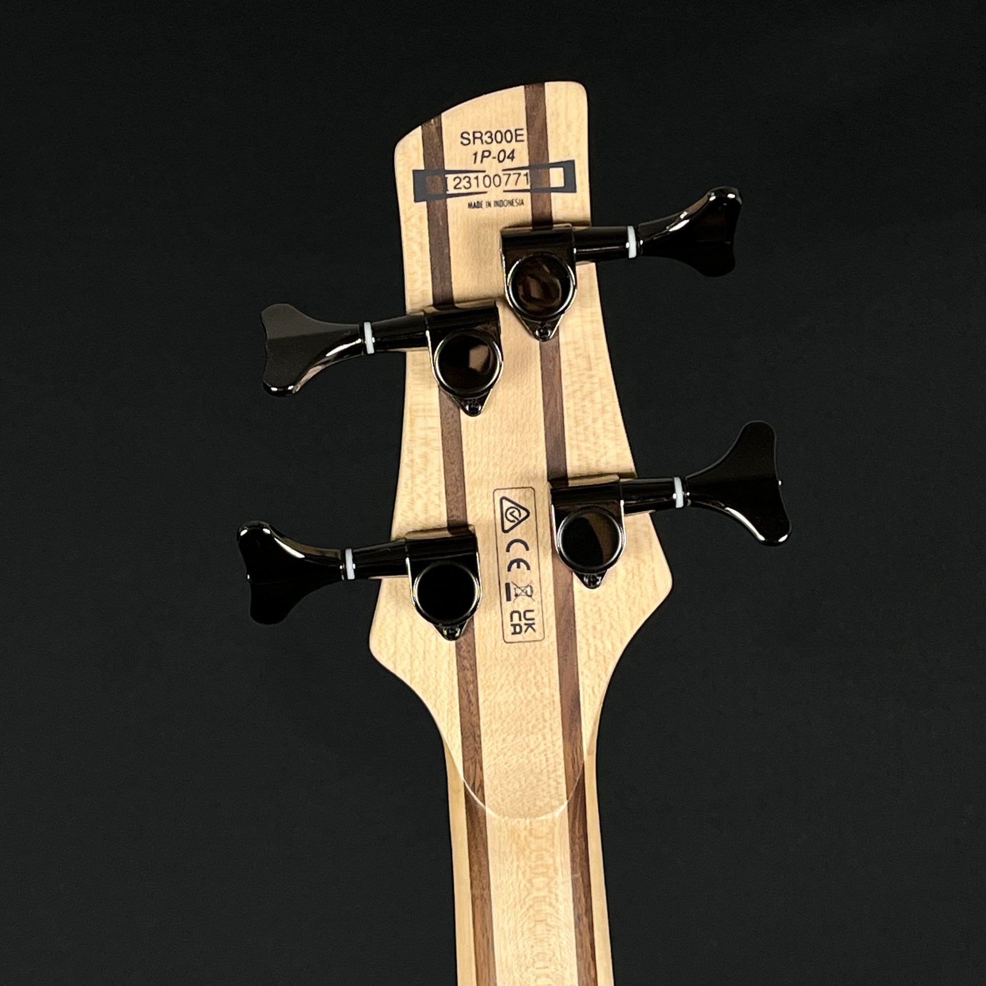 Ibanez SR300E Bass