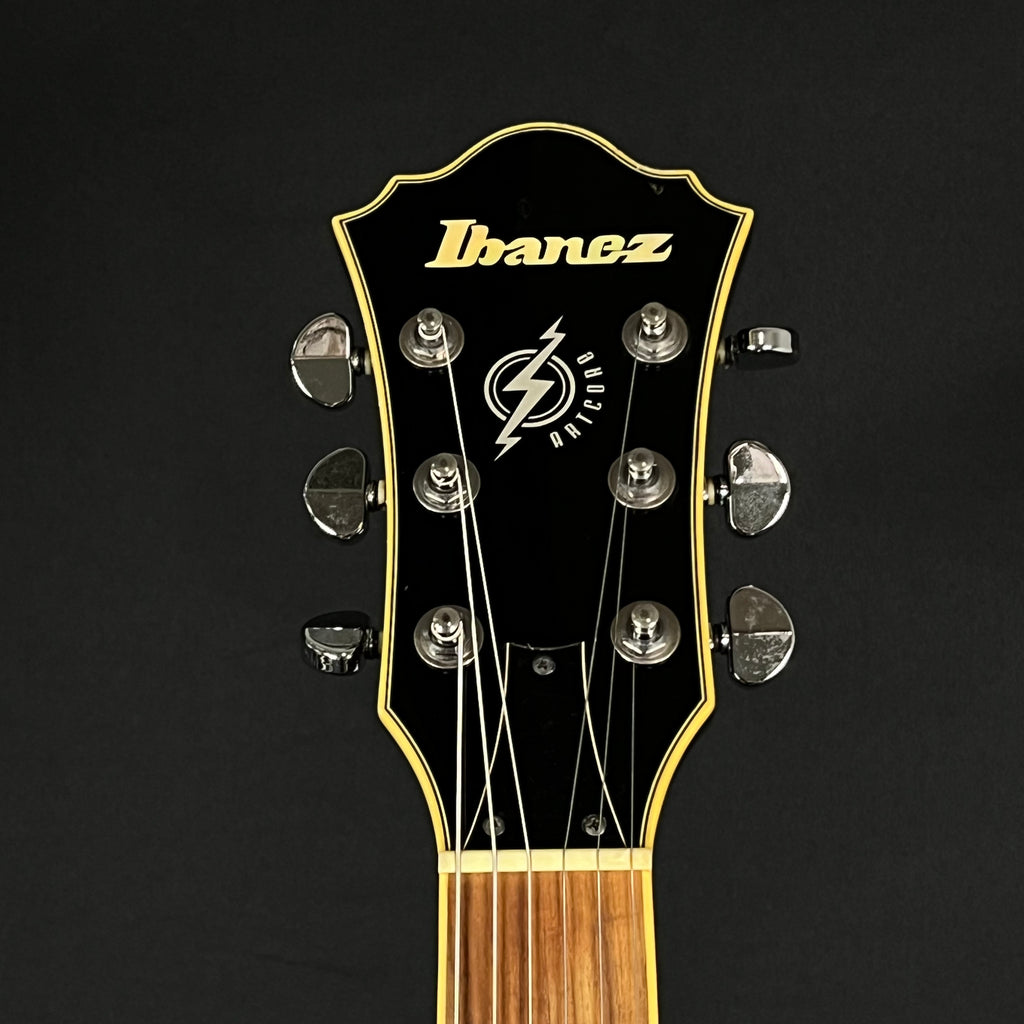 Ibanez AS73