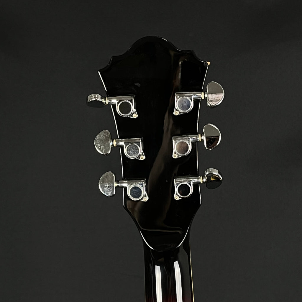 Ibanez AS73