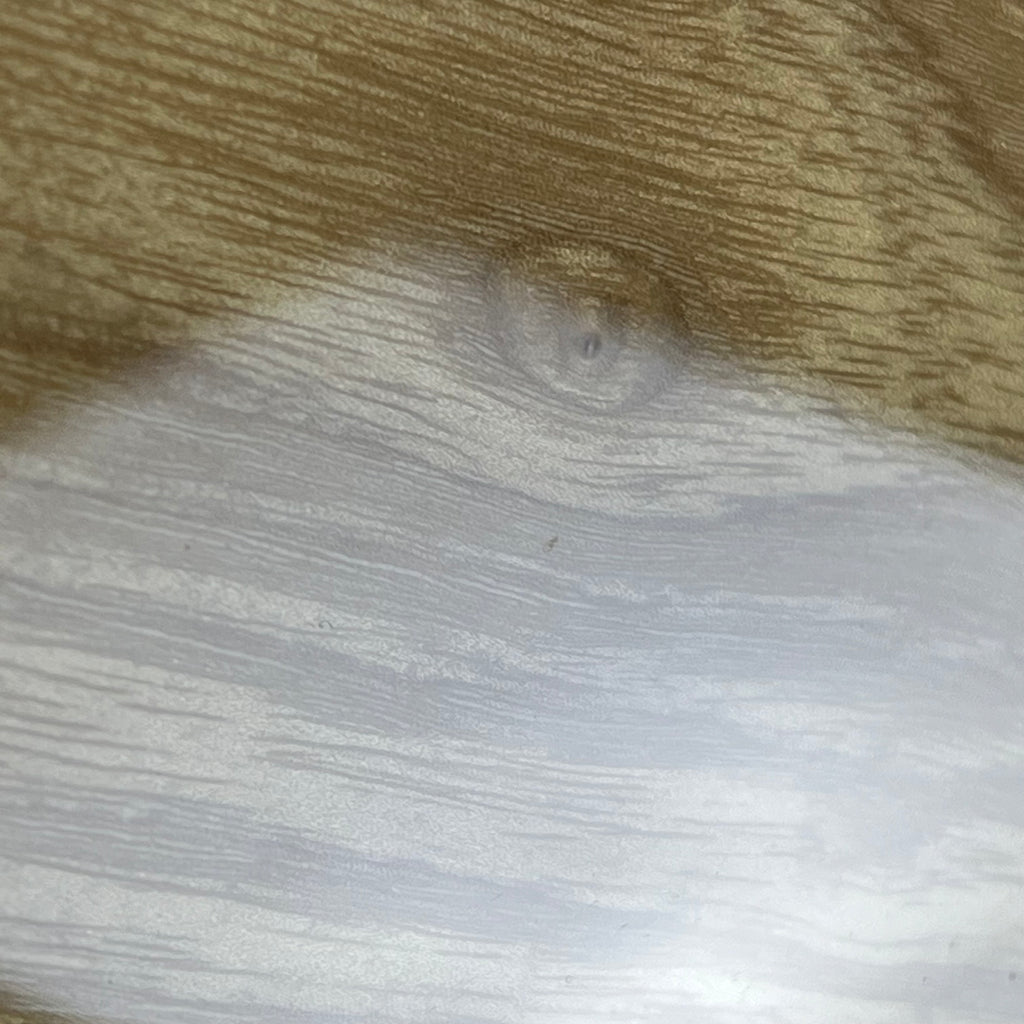 Fender Japan Traditional II 70 Telecaster Thinline 2023