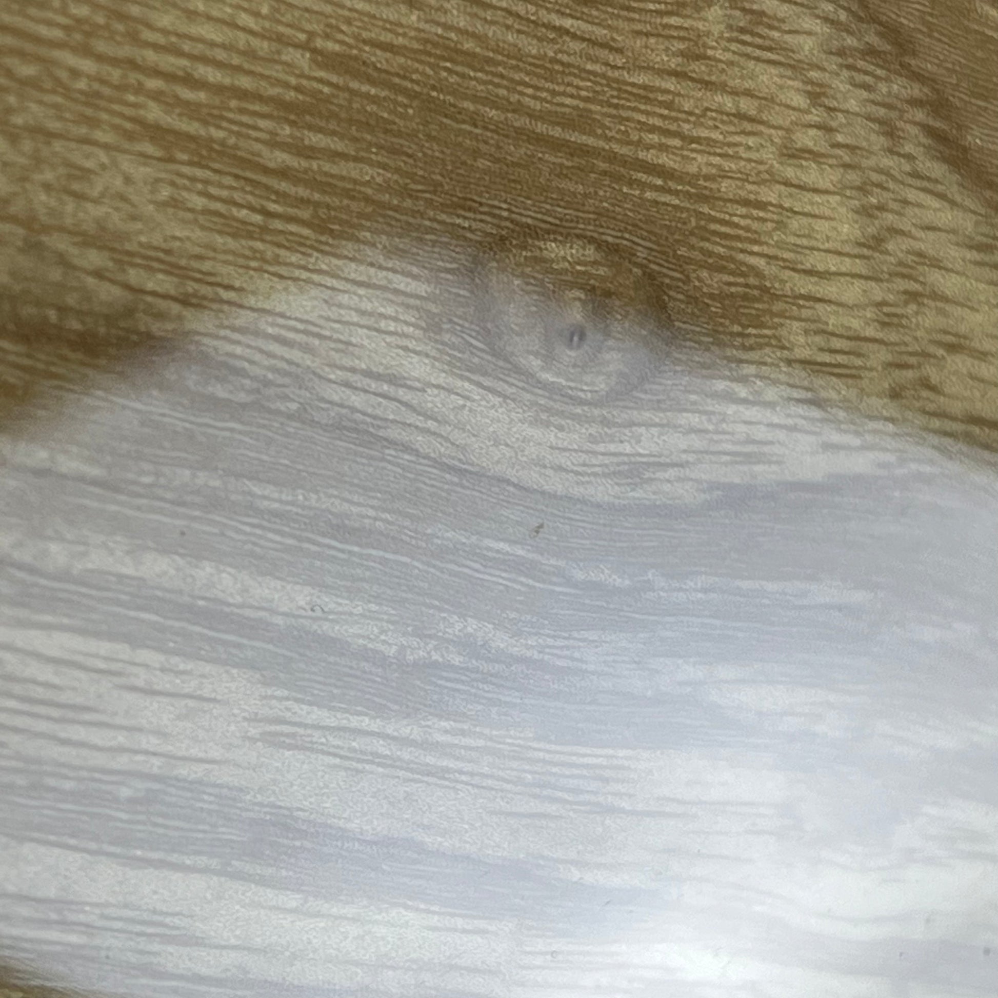 Fender Japan Traditional II 70 Telecaster Thinline 2023