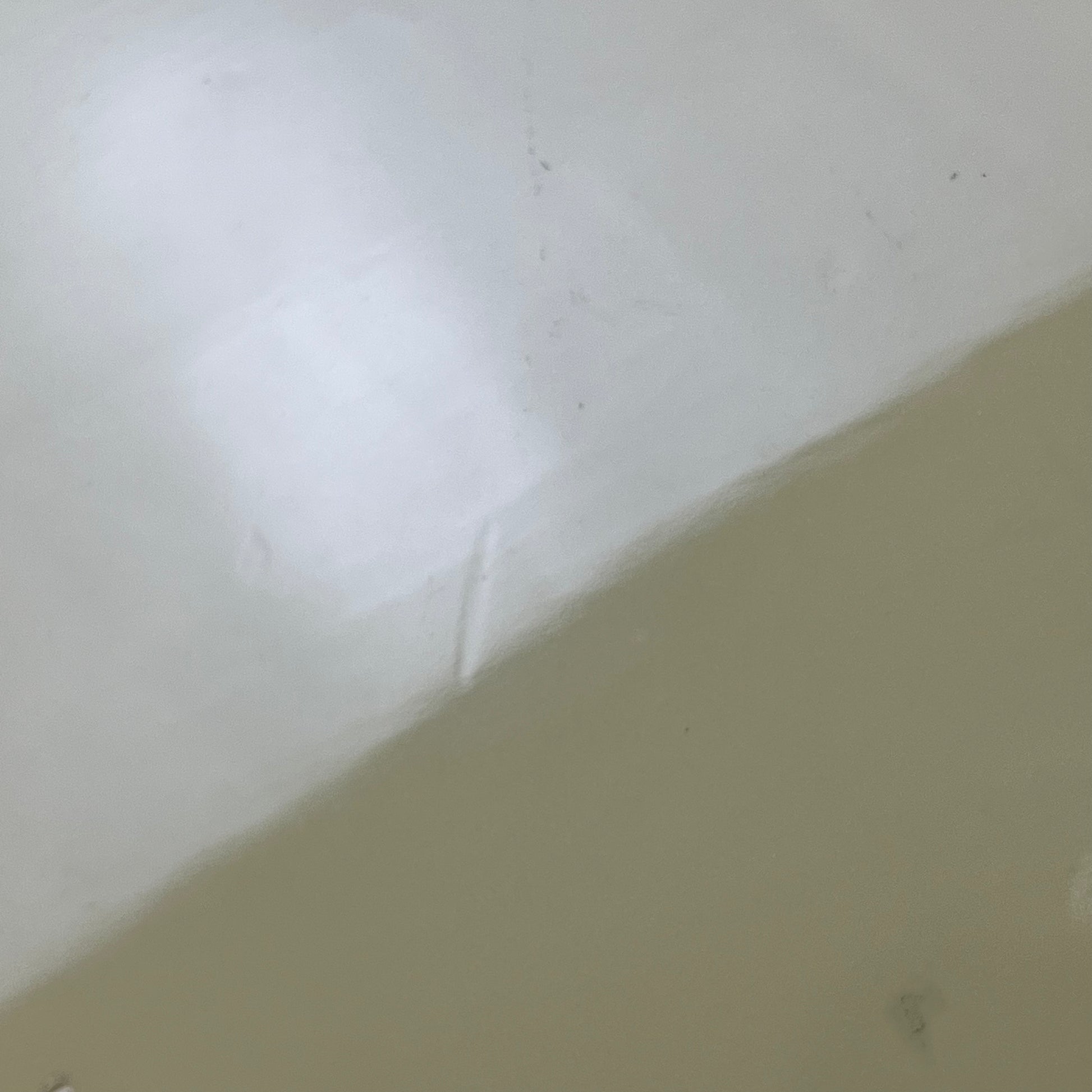 Bacchus BJB5-550 Jazz Bass