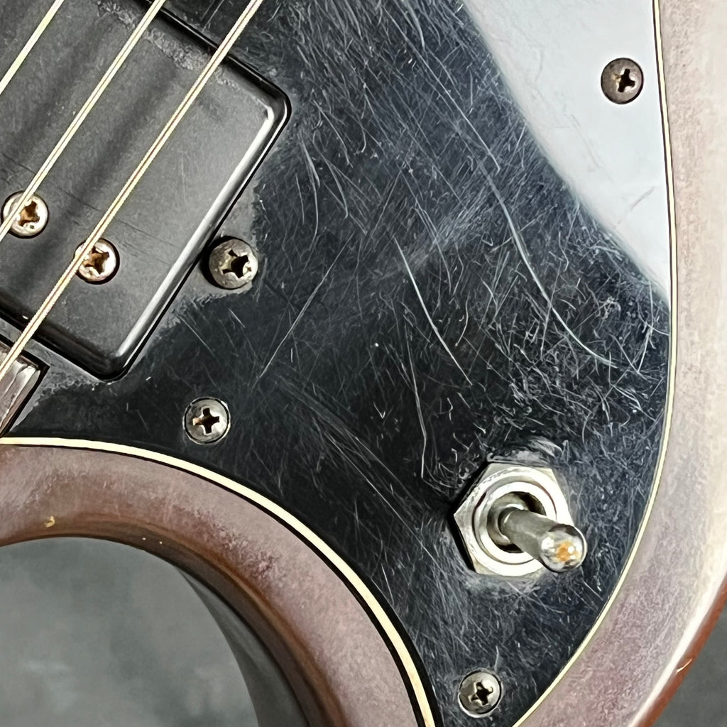 YAMAHA Japan SG Model