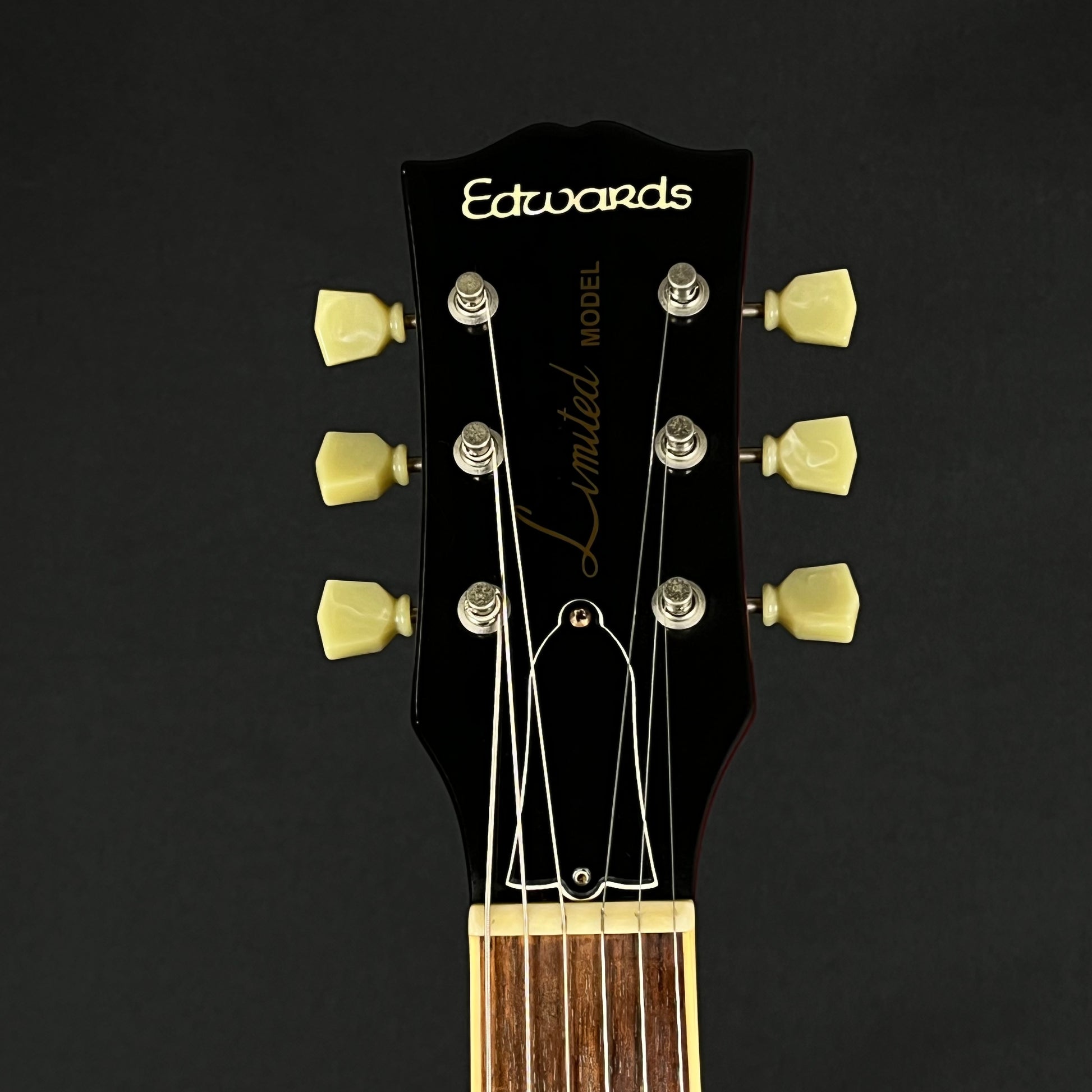 EDWARDS E-LPS *PU MOD*